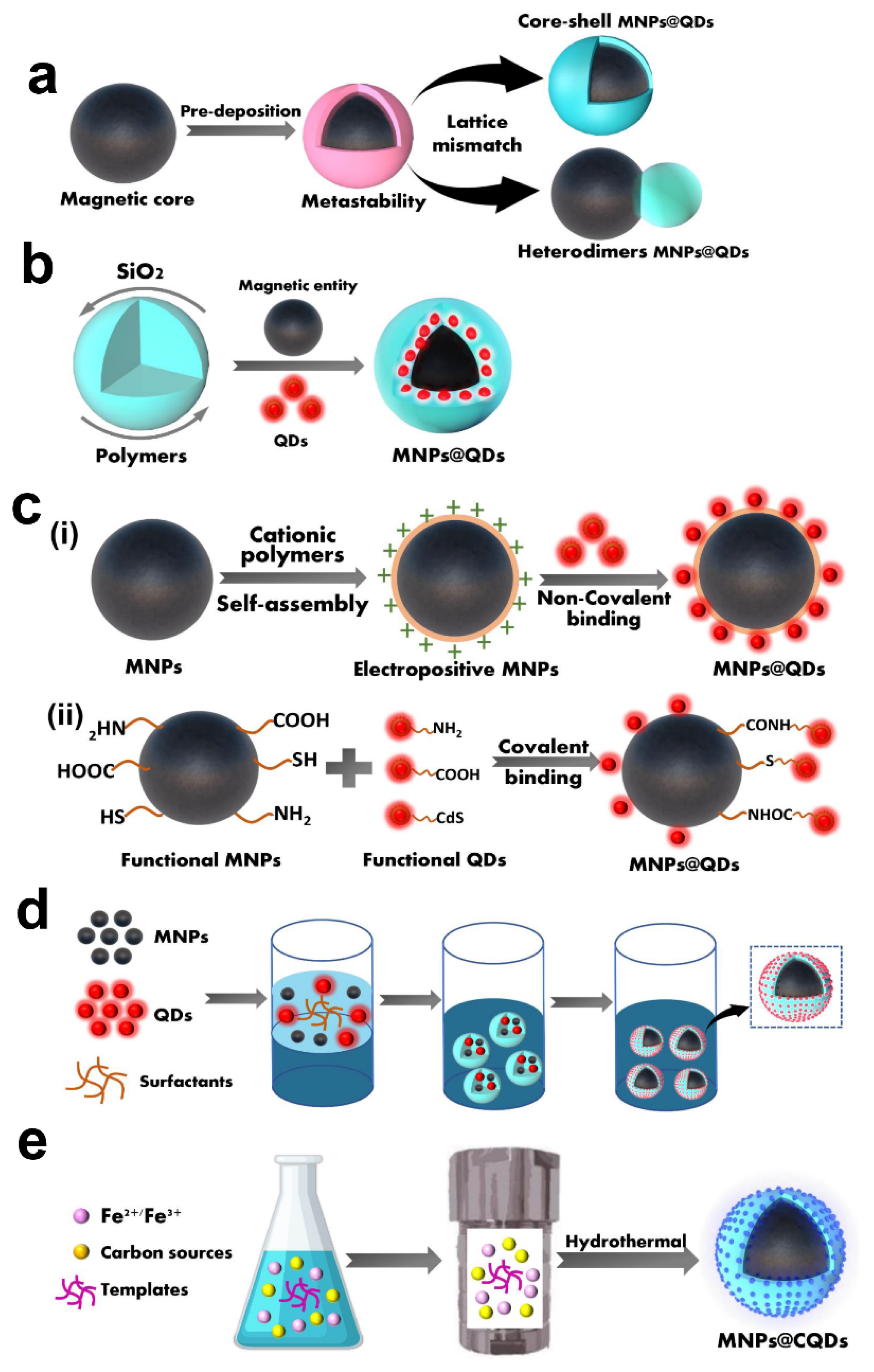 Ijms 23 04088 g003 Ijms 23 04088 g003