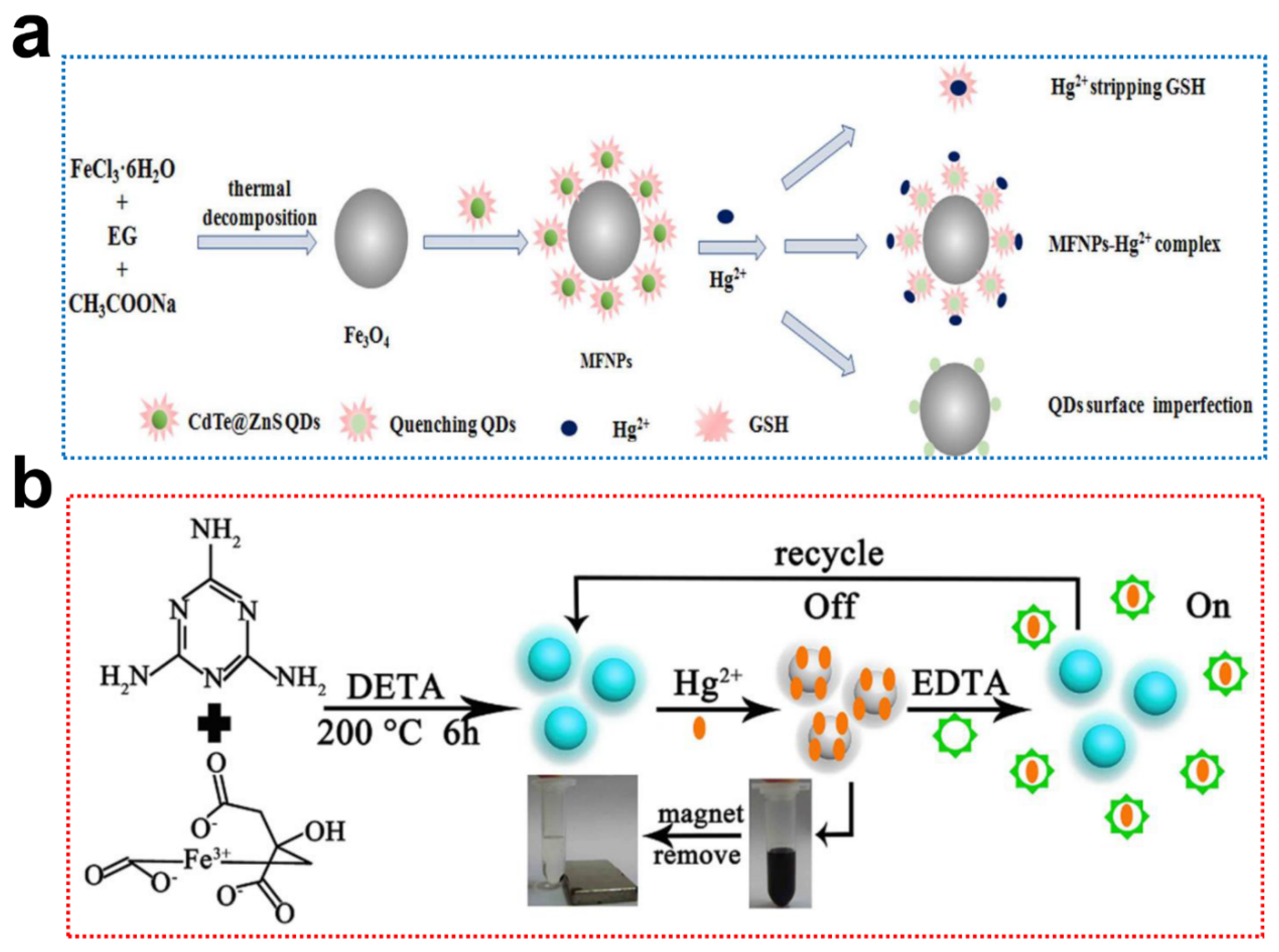 Ijms 23 04088 g004 Ijms 23 04088 g004