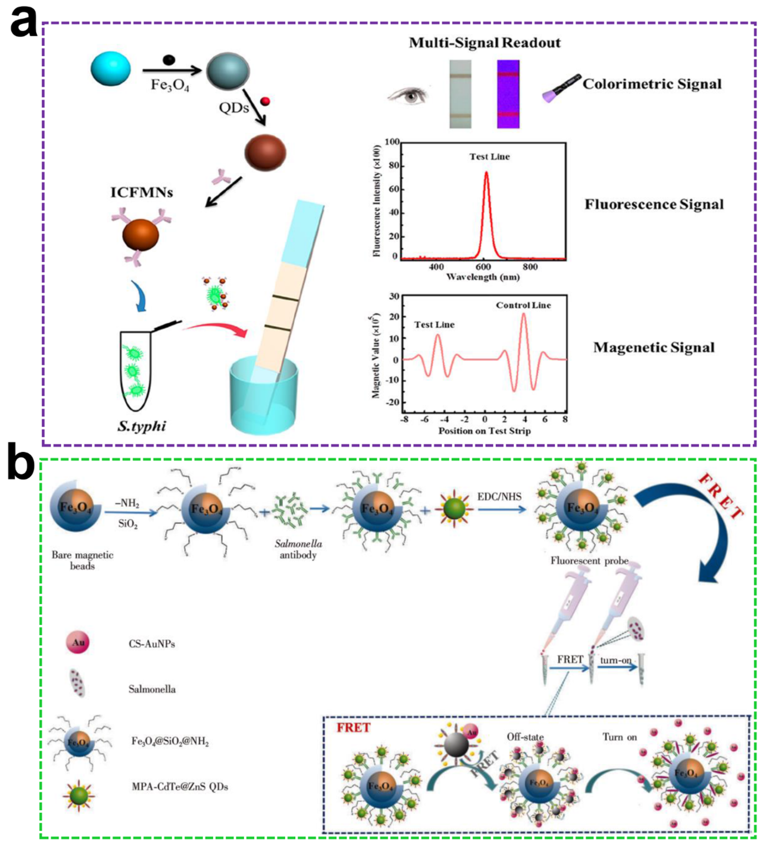 Ijms 23 04088 g005 Ijms 23 04088 g005