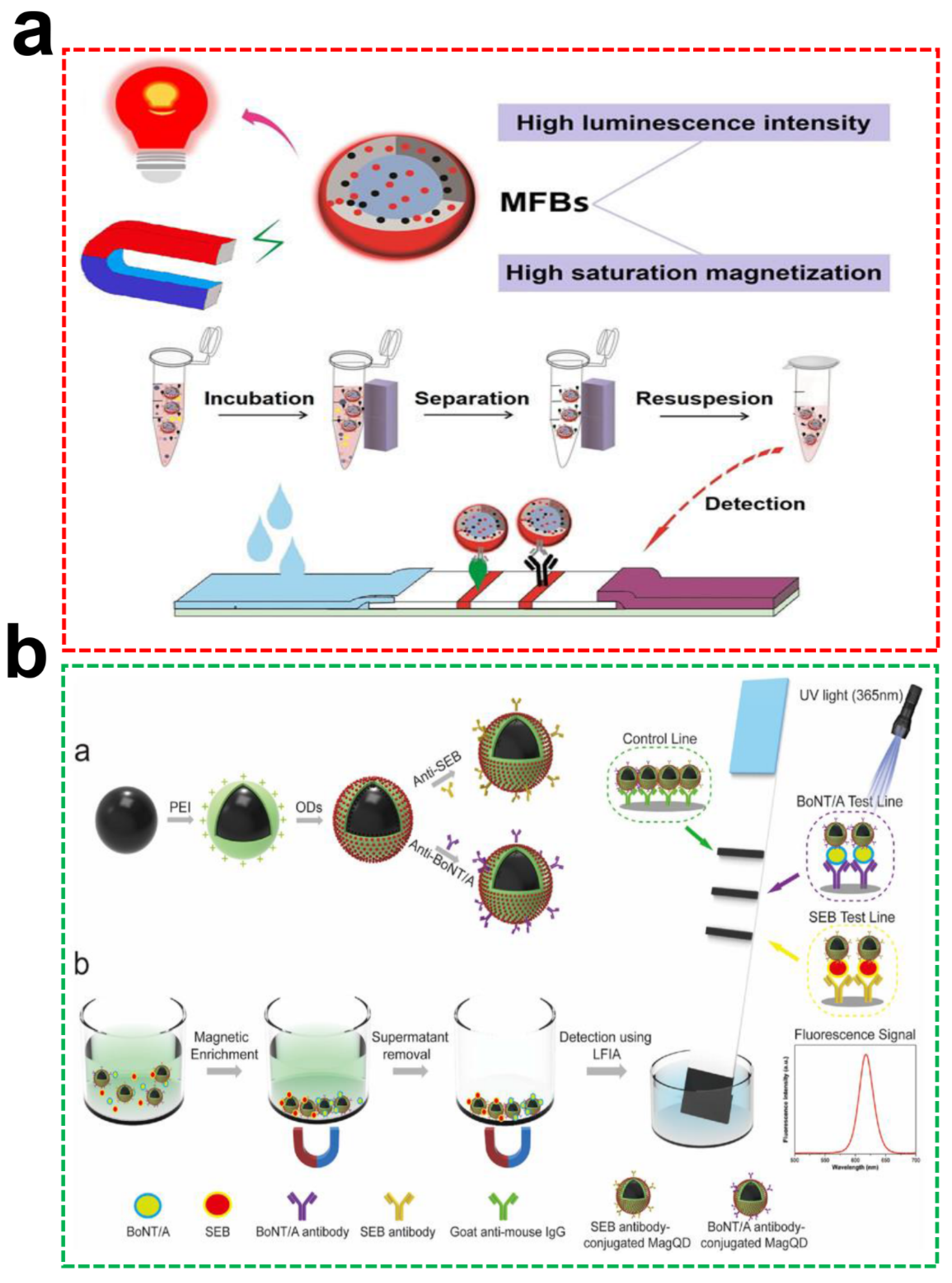 Ijms 23 04088 g006 Ijms 23 04088 g006