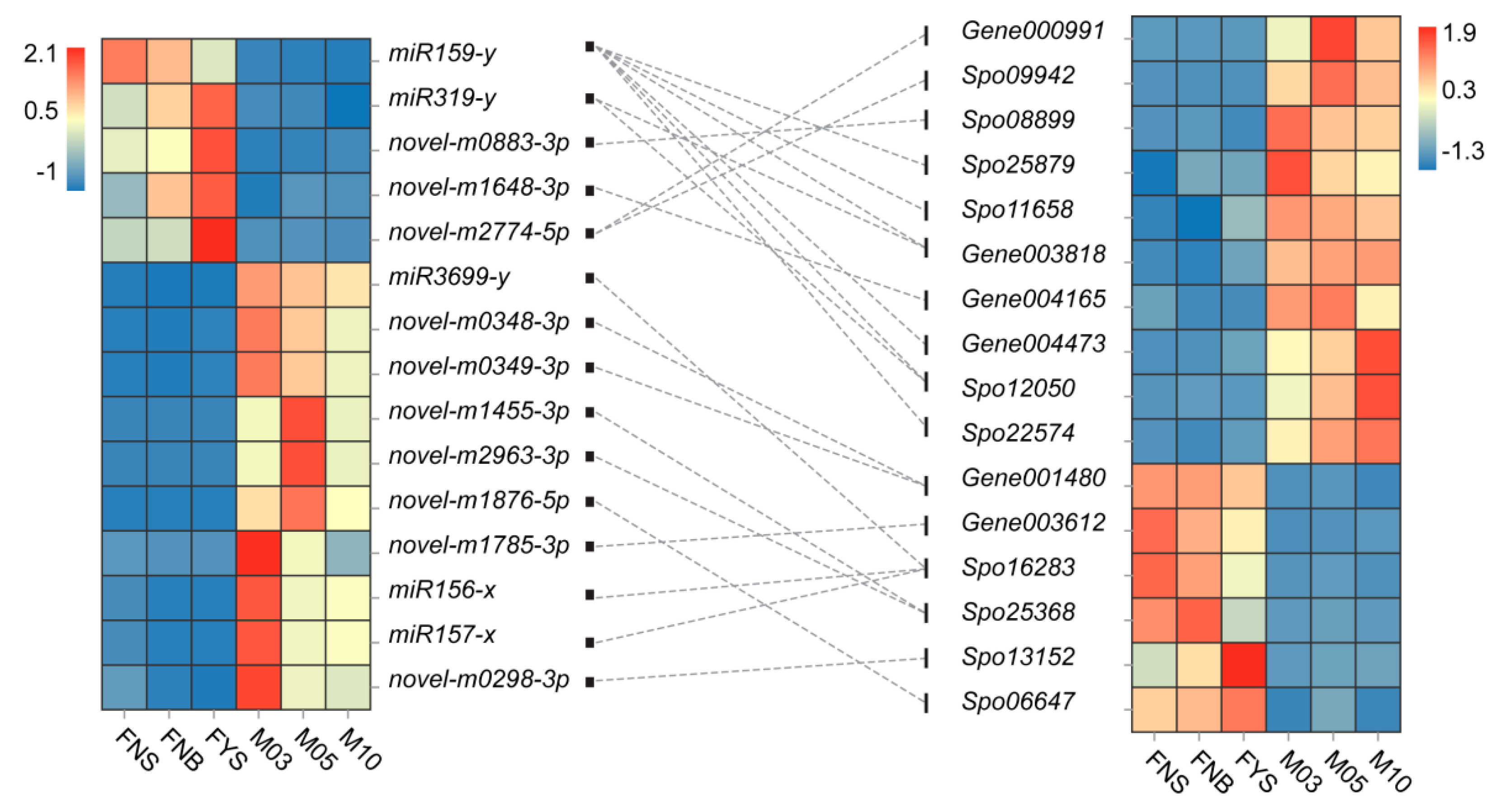 Ijms 23 04090 g003 550