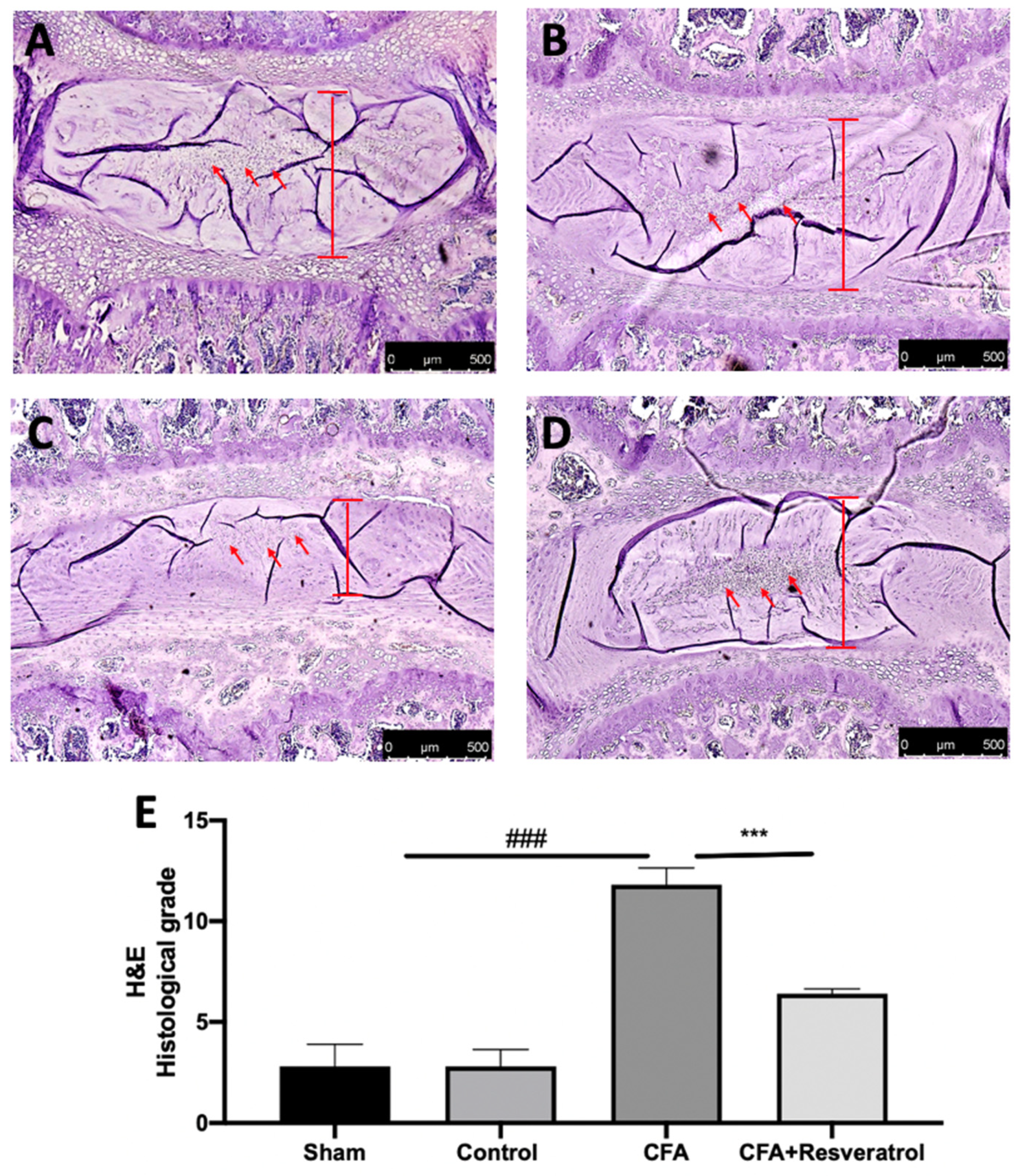 Ijms 23 04092 g001 550