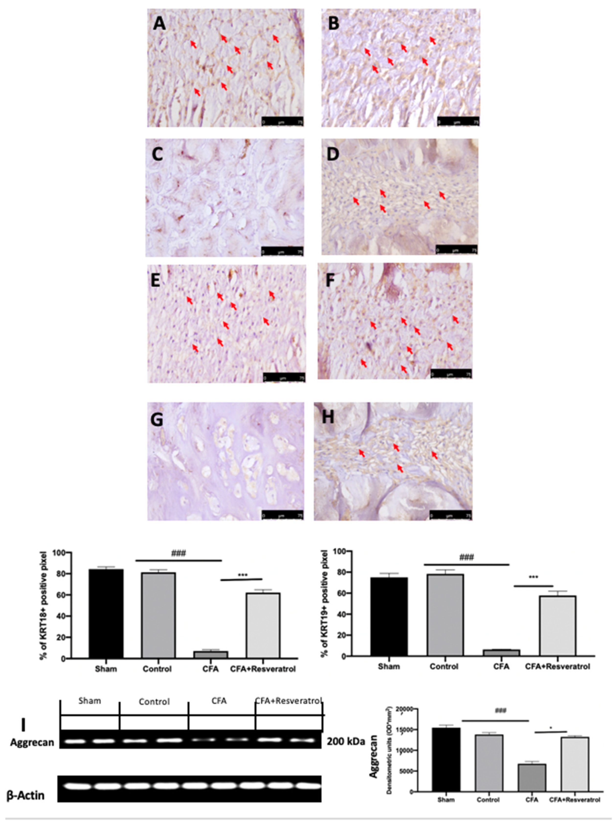Ijms 23 04092 g002 550