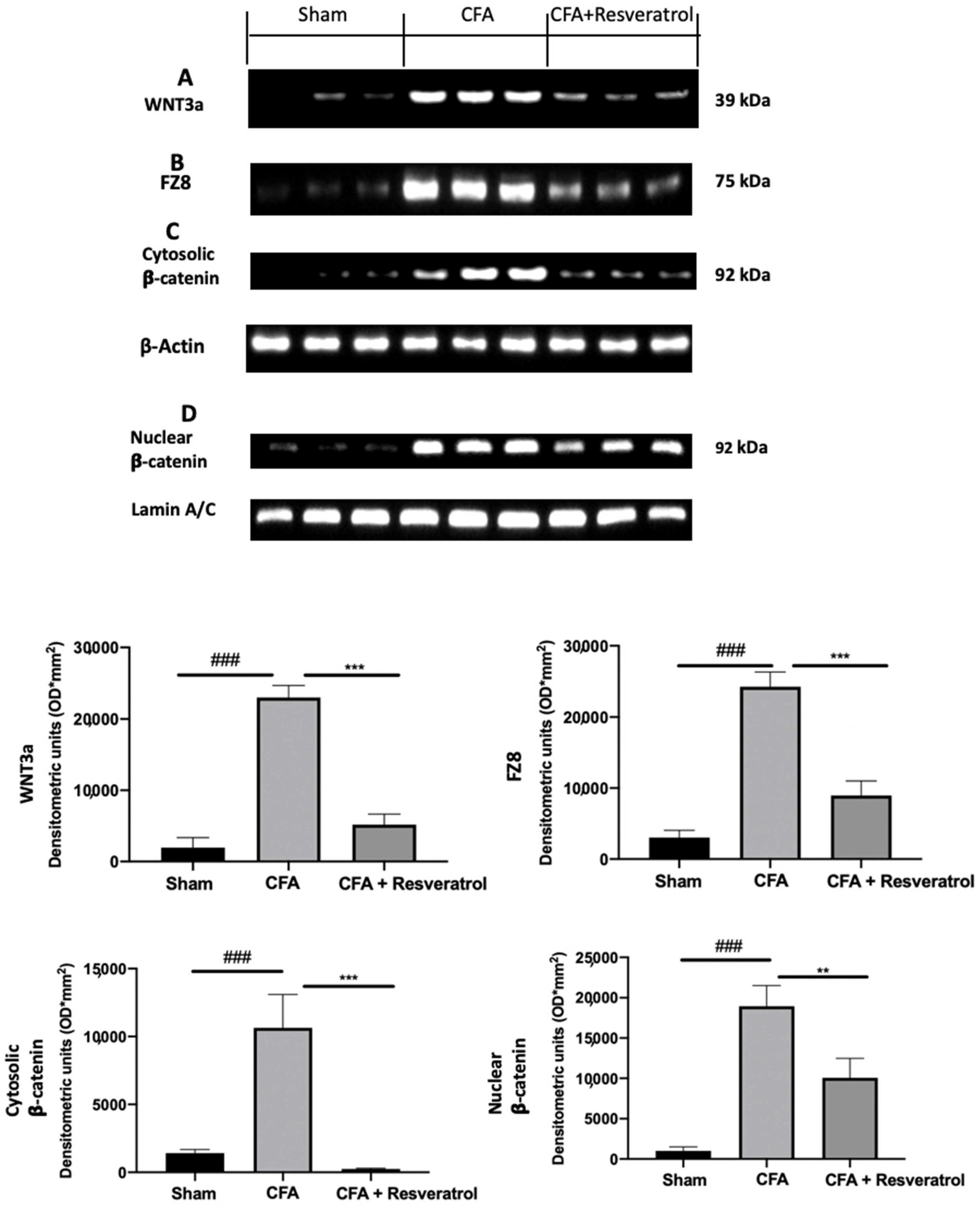 Ijms 23 04092 g006 550