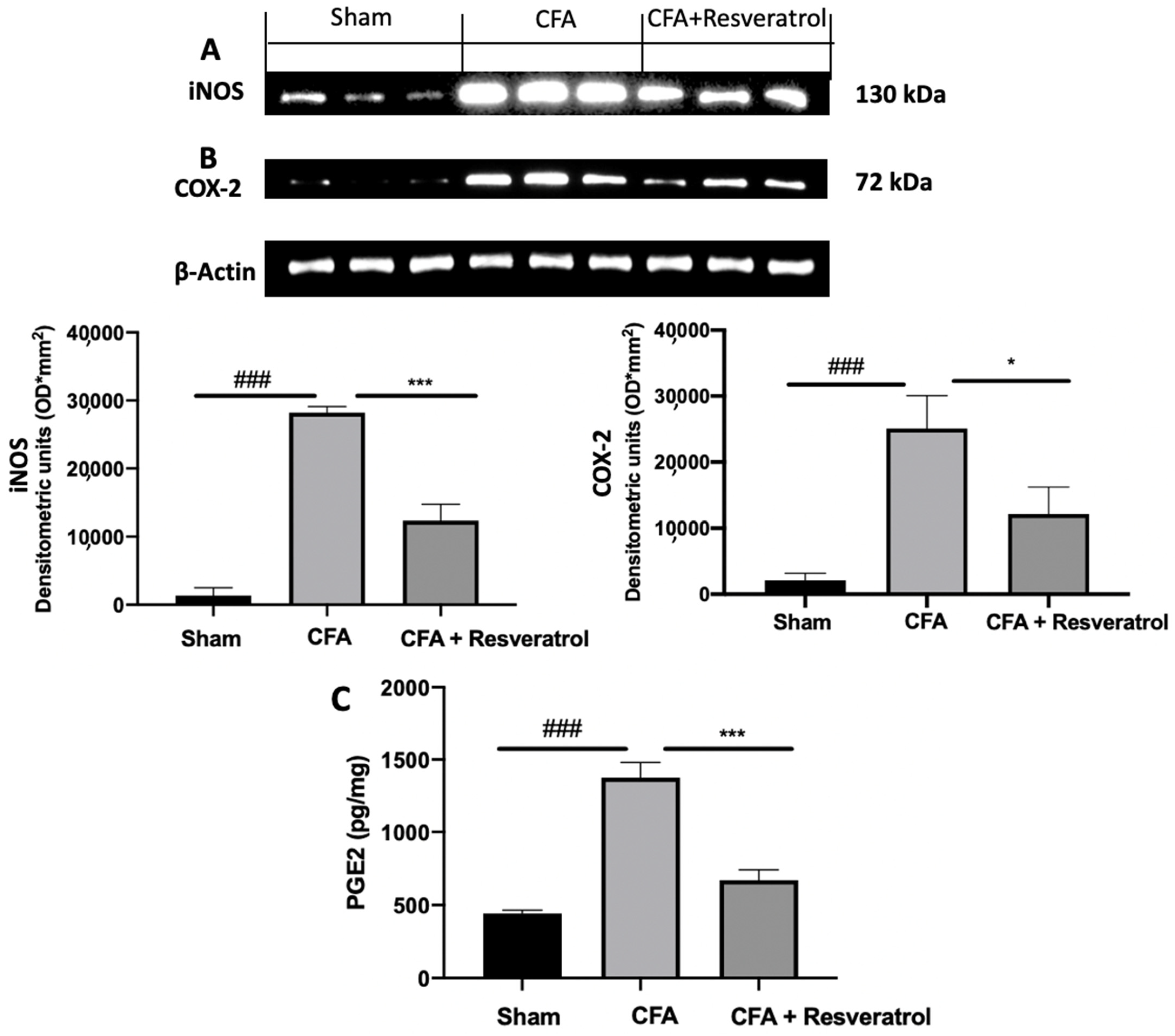 Ijms 23 04092 g008 550