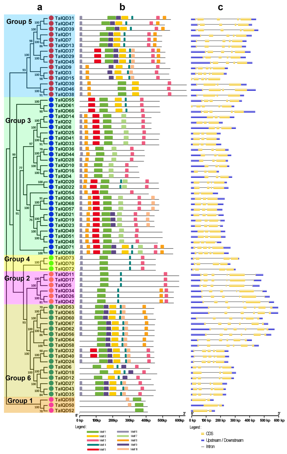 Ijms 23 04093 g002 550