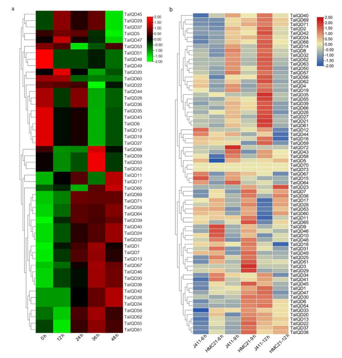 Ijms 23 04093 g007 550