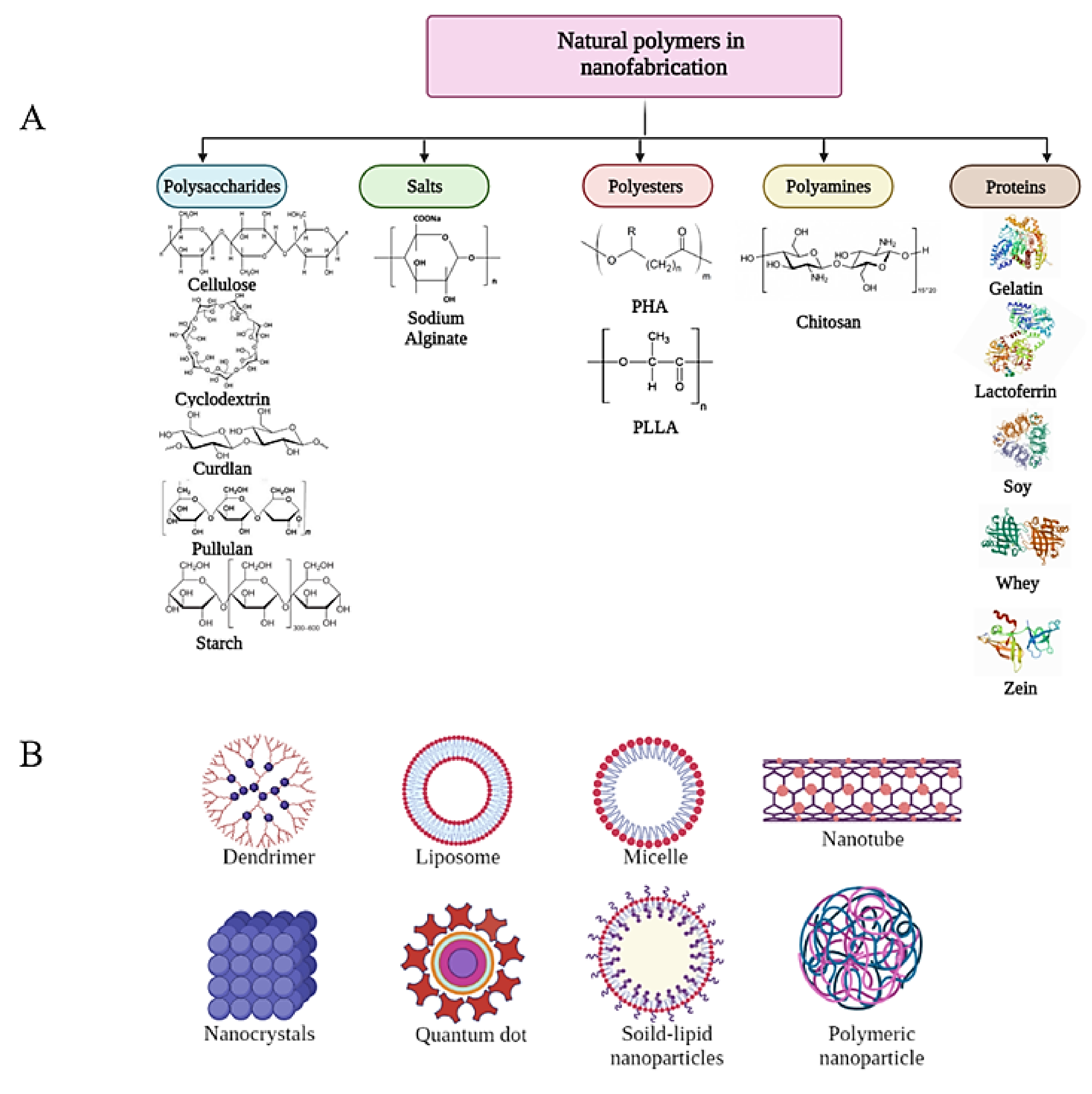 Ijms 23 04101 g001 550