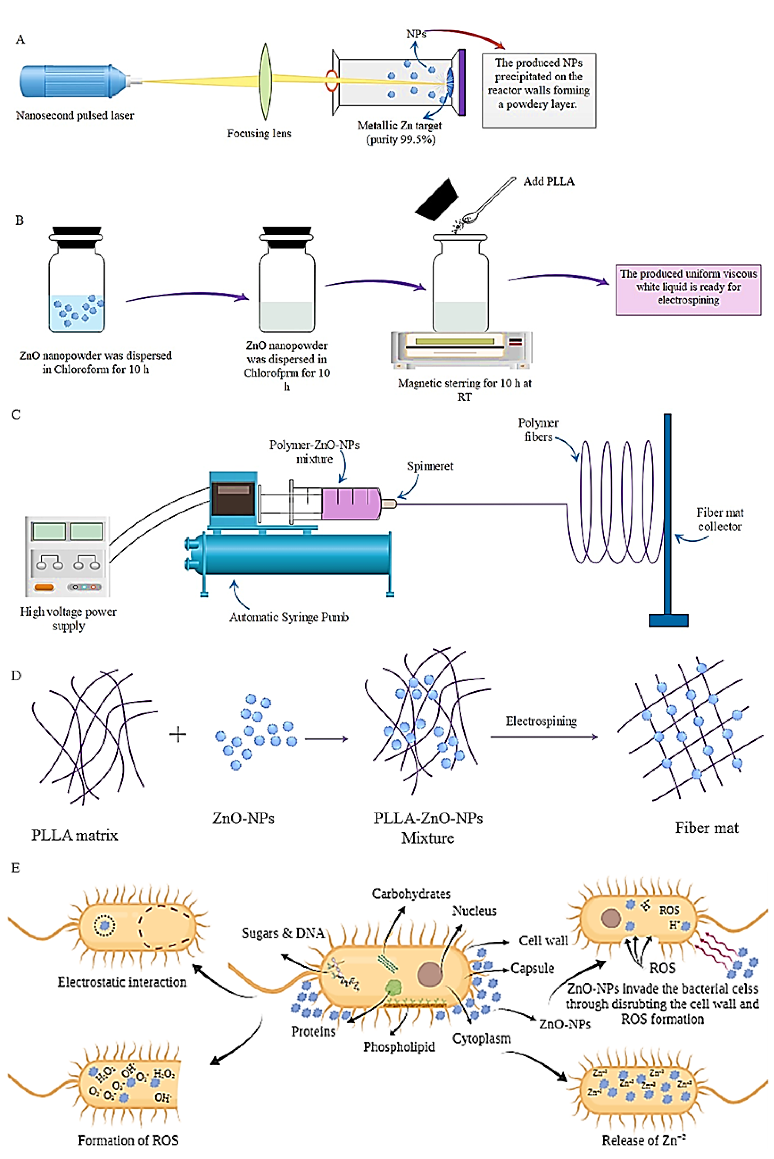 Ijms 23 04101 g003 550