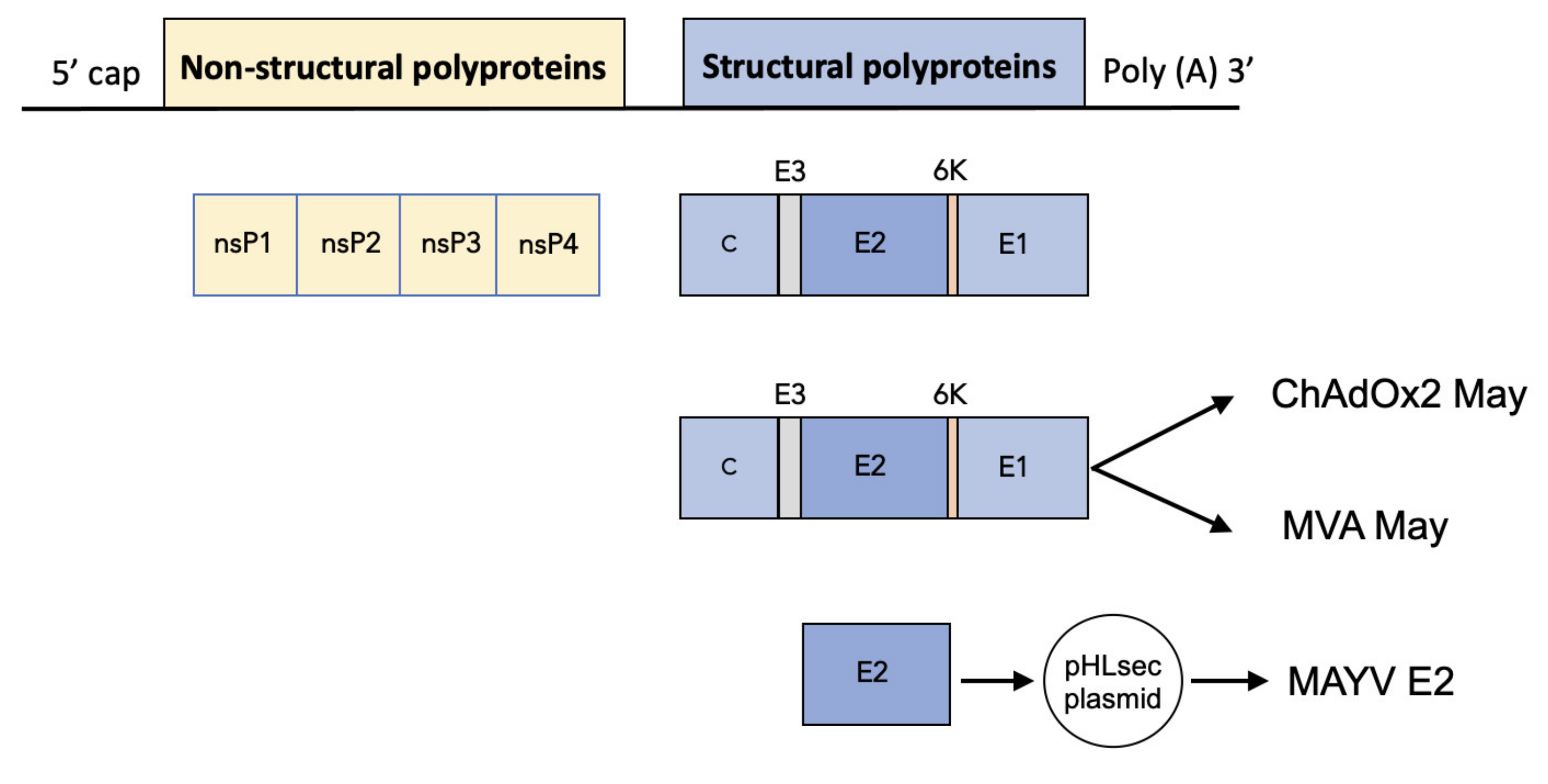Ijms 23 04105 g001 550