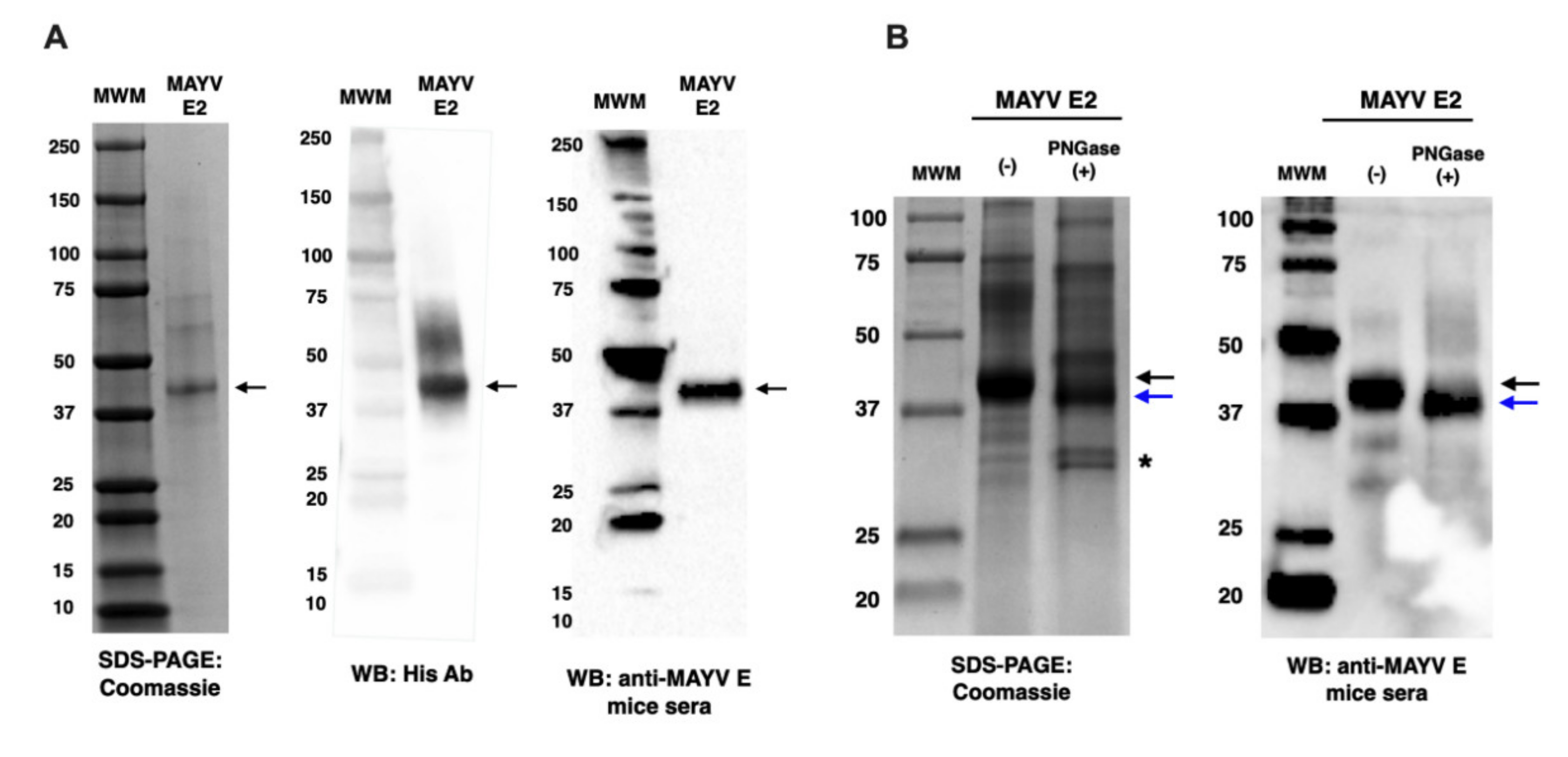 Ijms 23 04105 g002 550