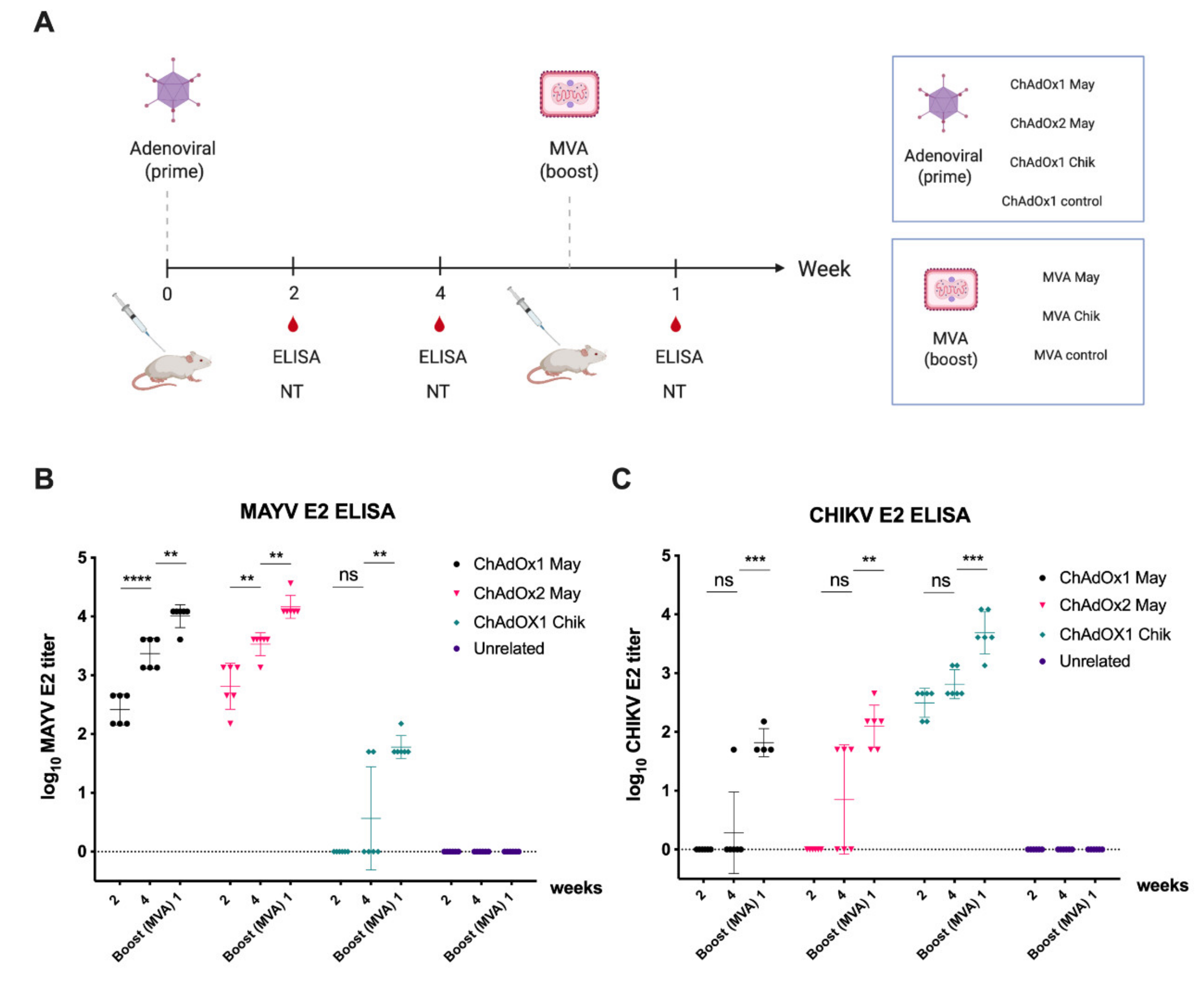 Ijms 23 04105 g004 550