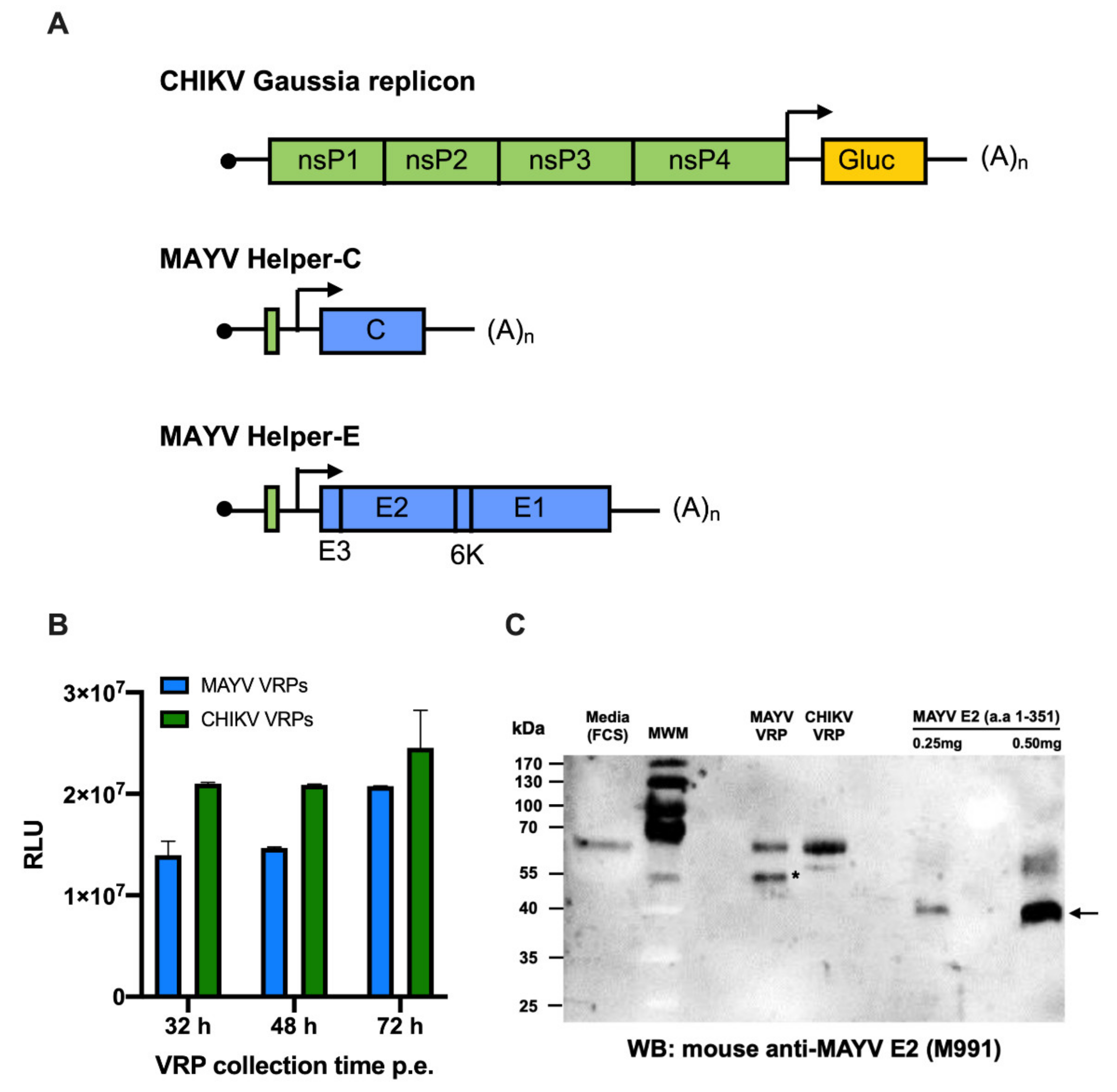 Ijms 23 04105 g005 550