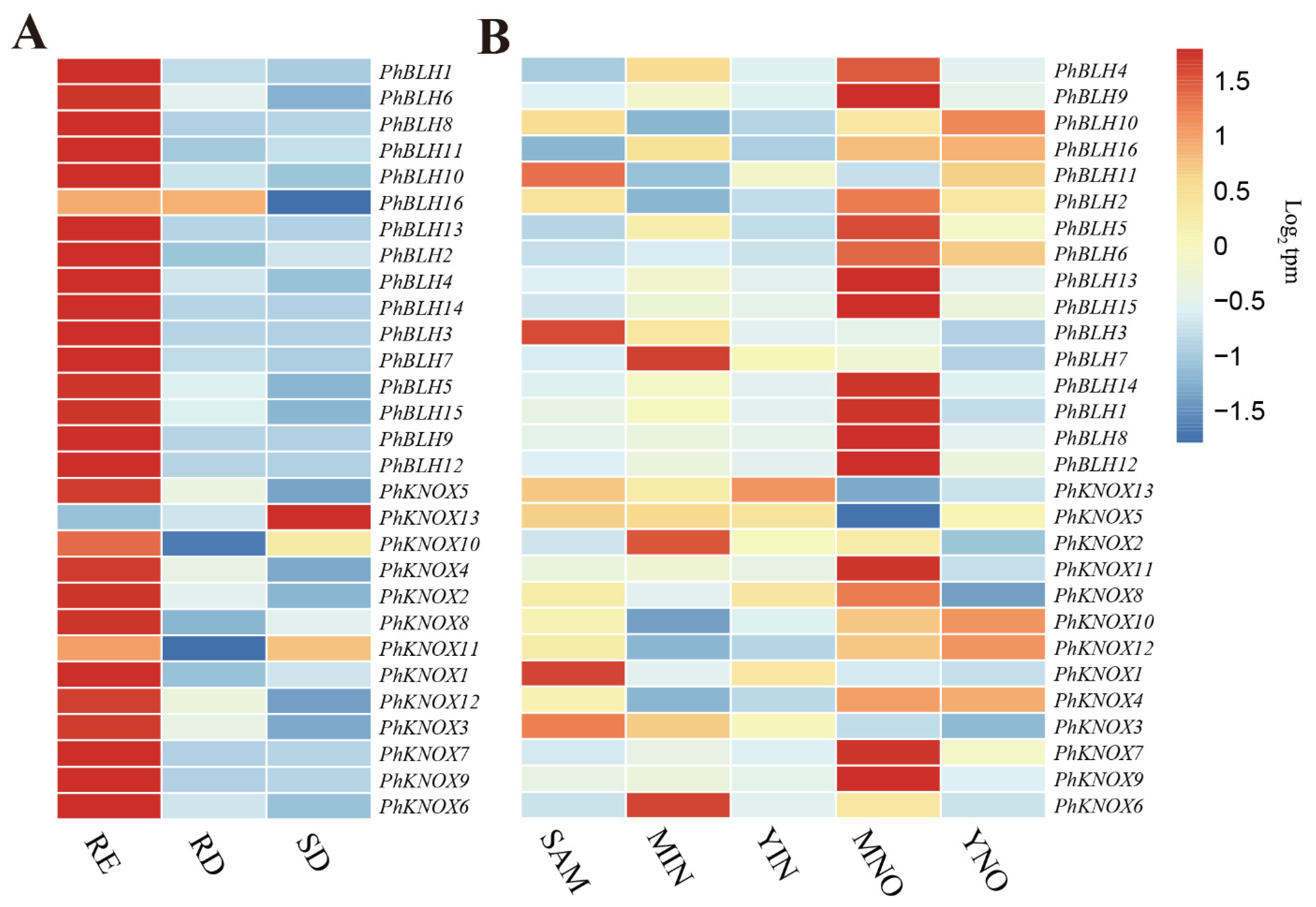 Ijms 23 04112 g006 550