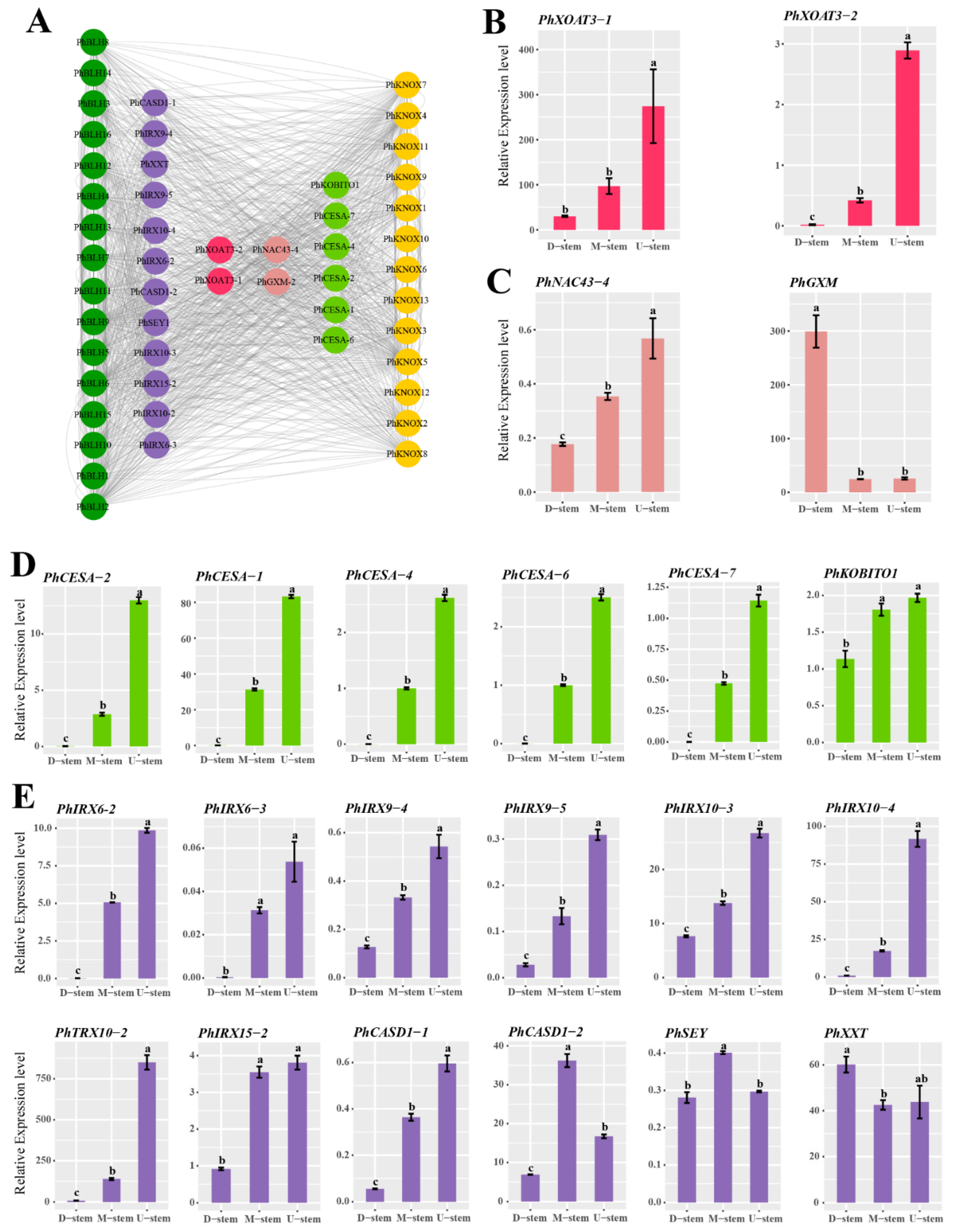 Ijms 23 04112 g010 550