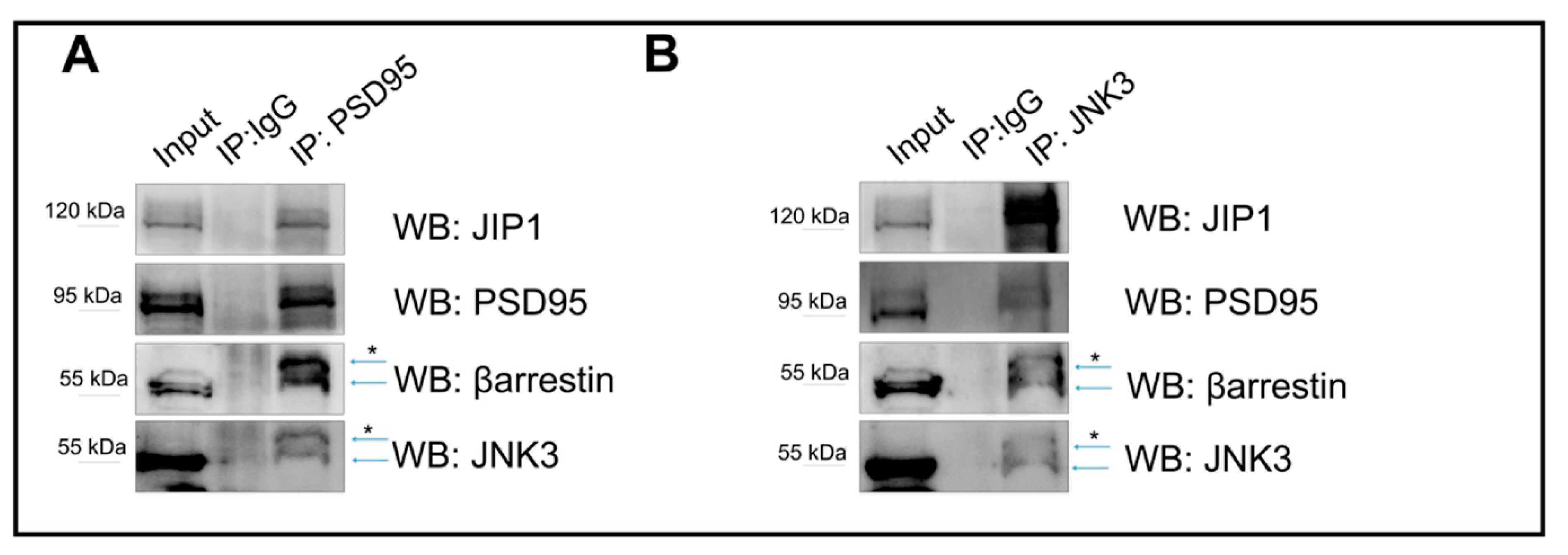 Ijms 23 04113 g003 Ijms 23 04113 g003