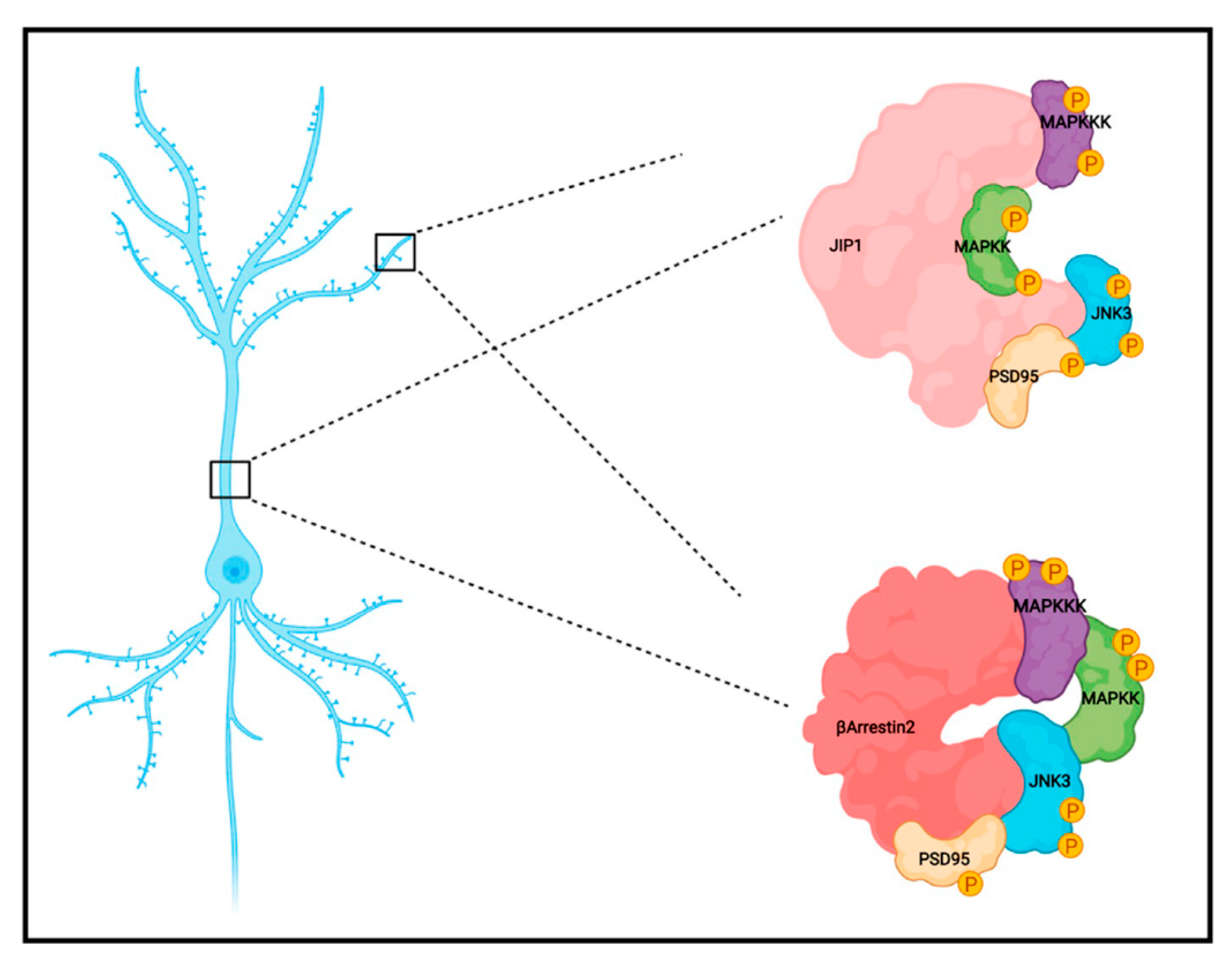 Ijms 23 04113 g006 Ijms 23 04113 g006