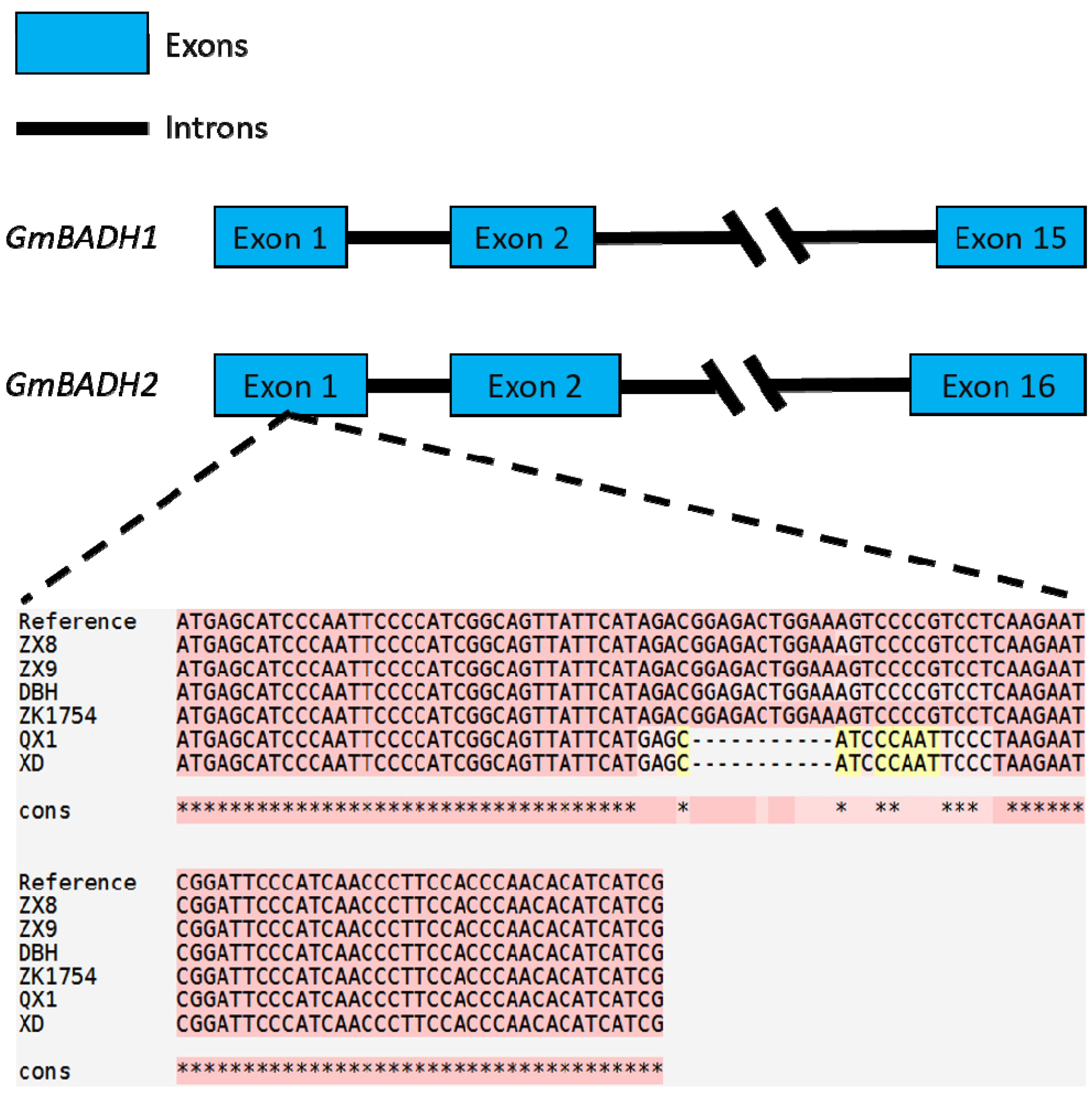 Ijms 23 04116 g001 550