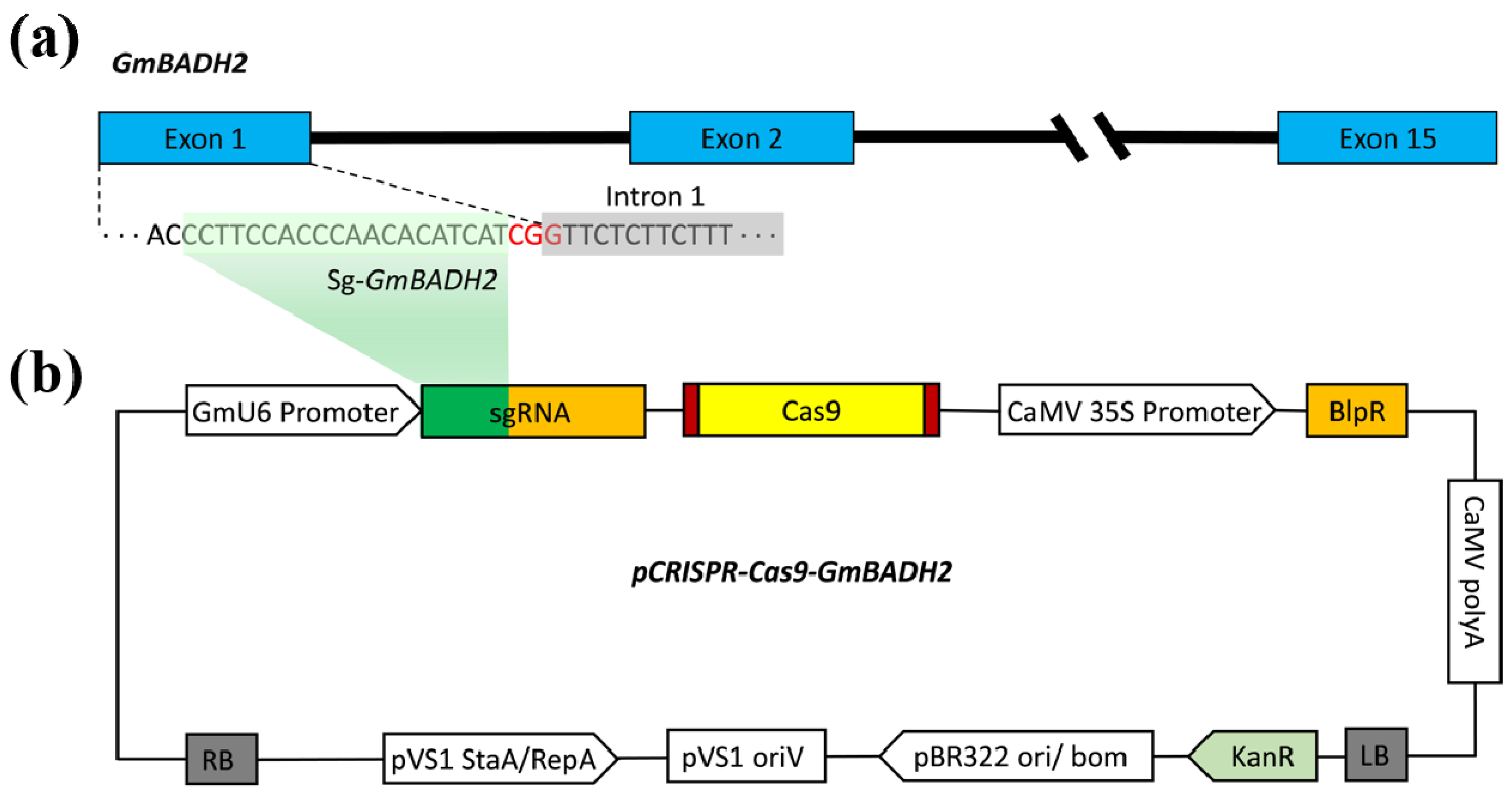 Ijms 23 04116 g003 550