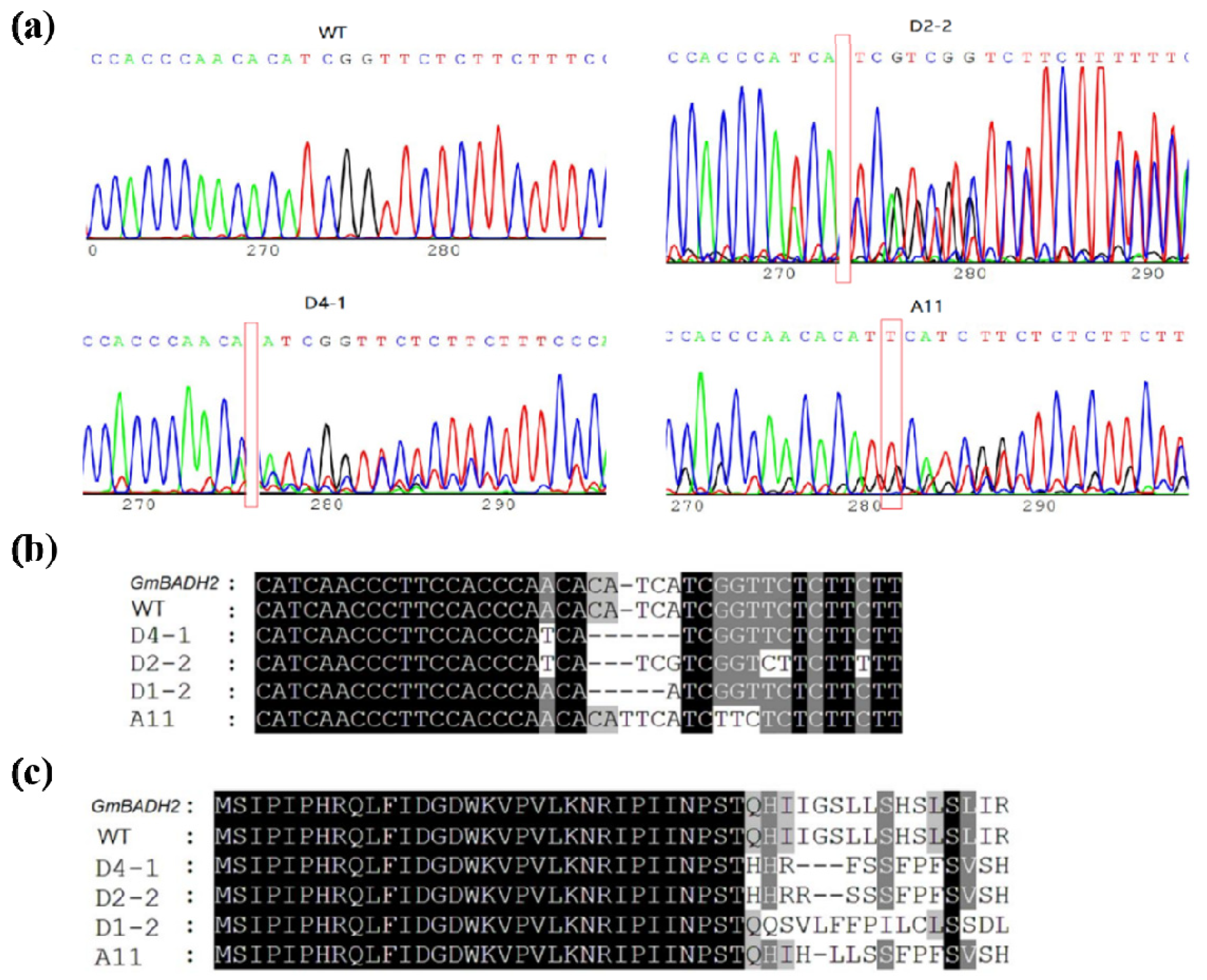 Ijms 23 04116 g004 550