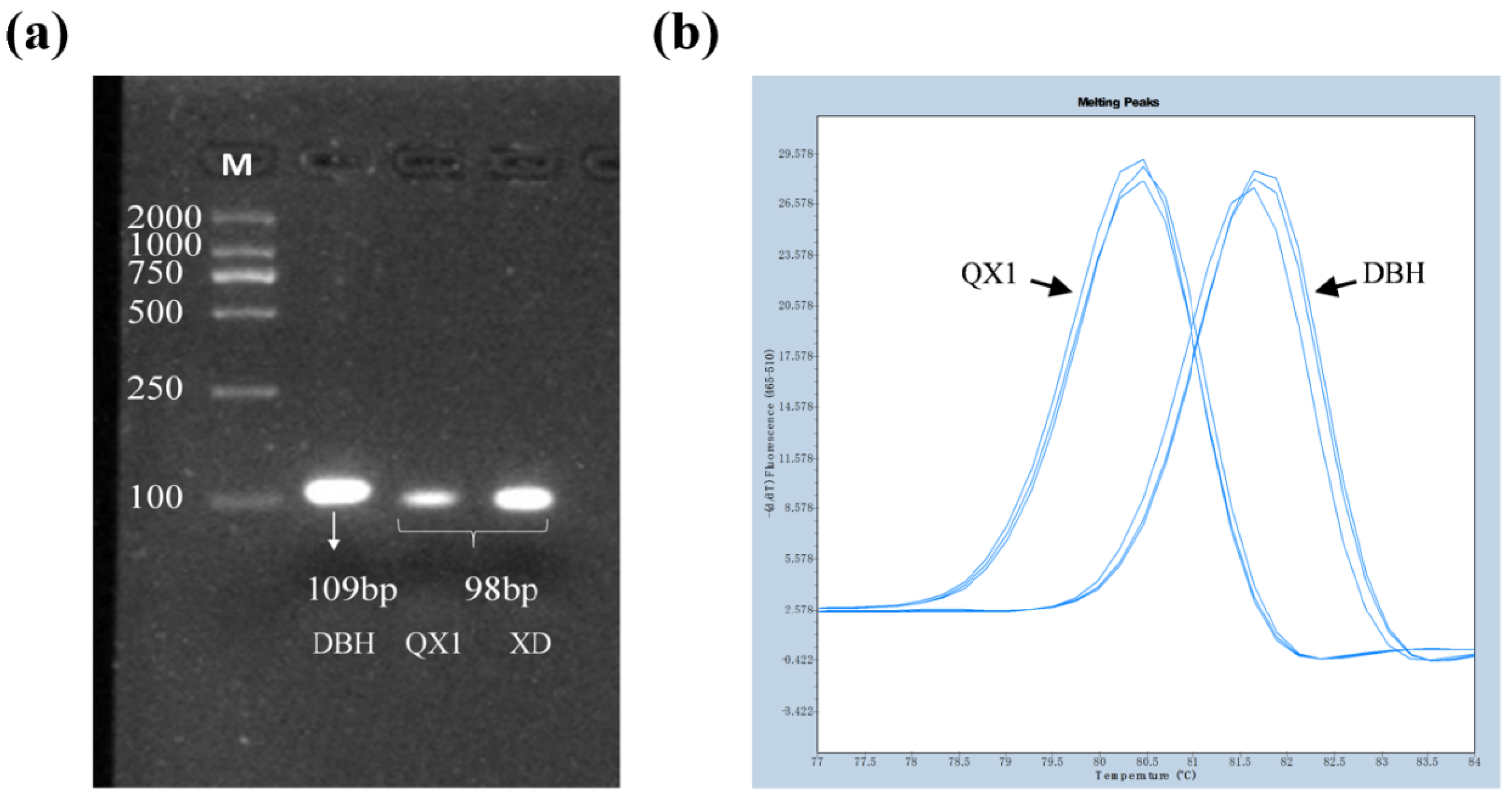 Ijms 23 04116 g005 550