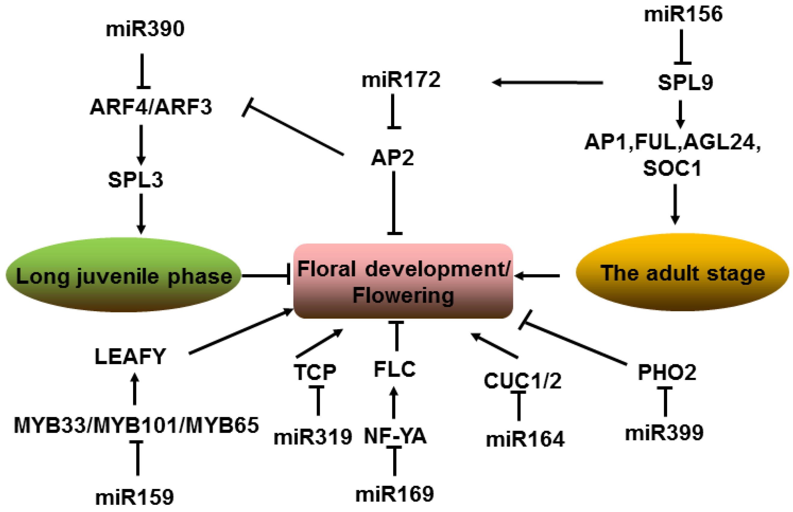 Ijms 23 04124 g004 550