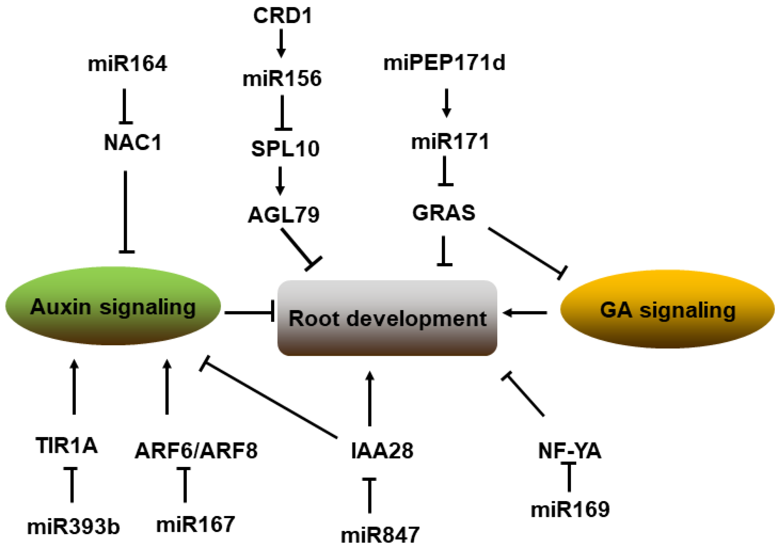 Ijms 23 04124 g005 550