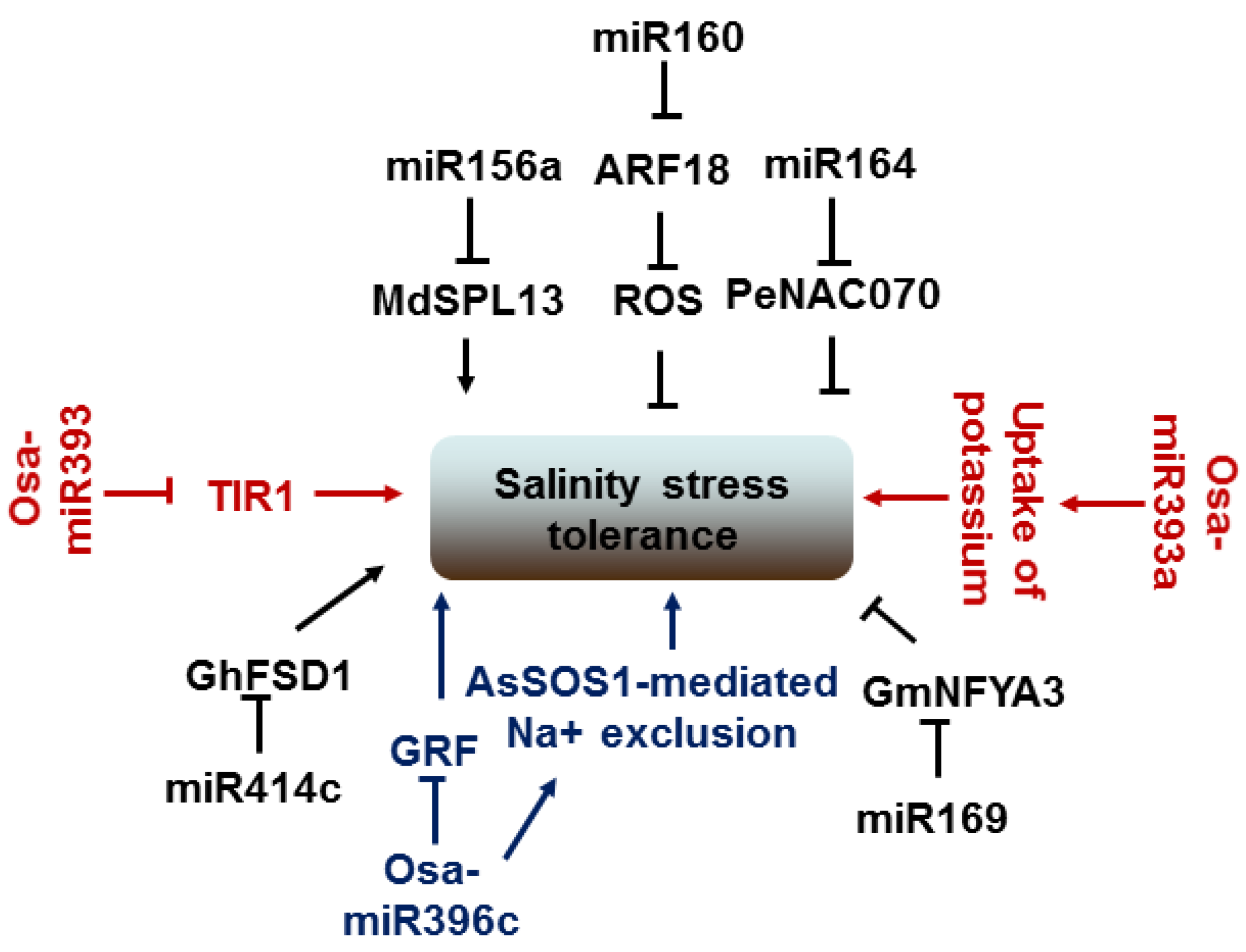 Ijms 23 04124 g007 550