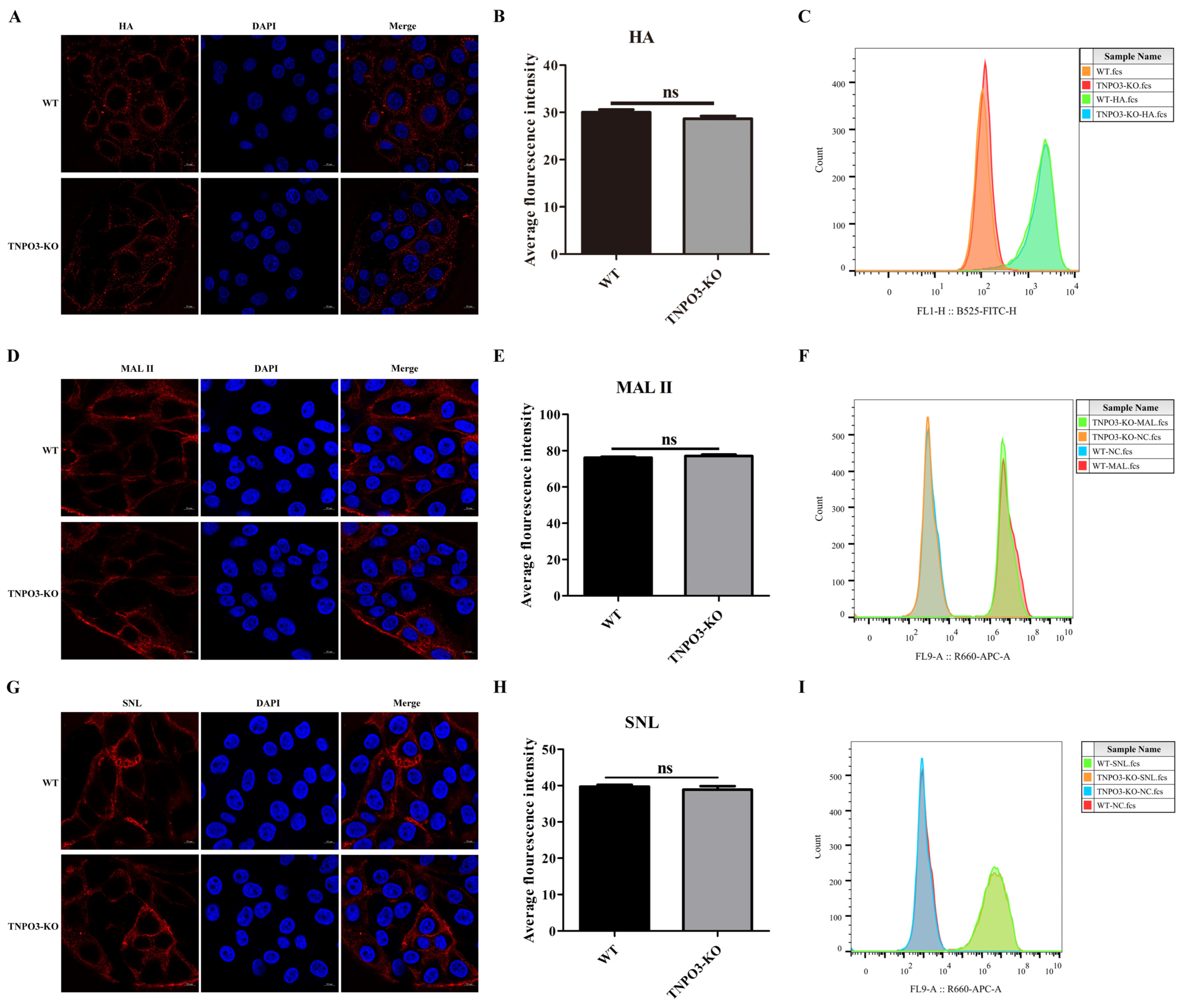 Ijms 23 04128 g002 Ijms 23 04128 g002