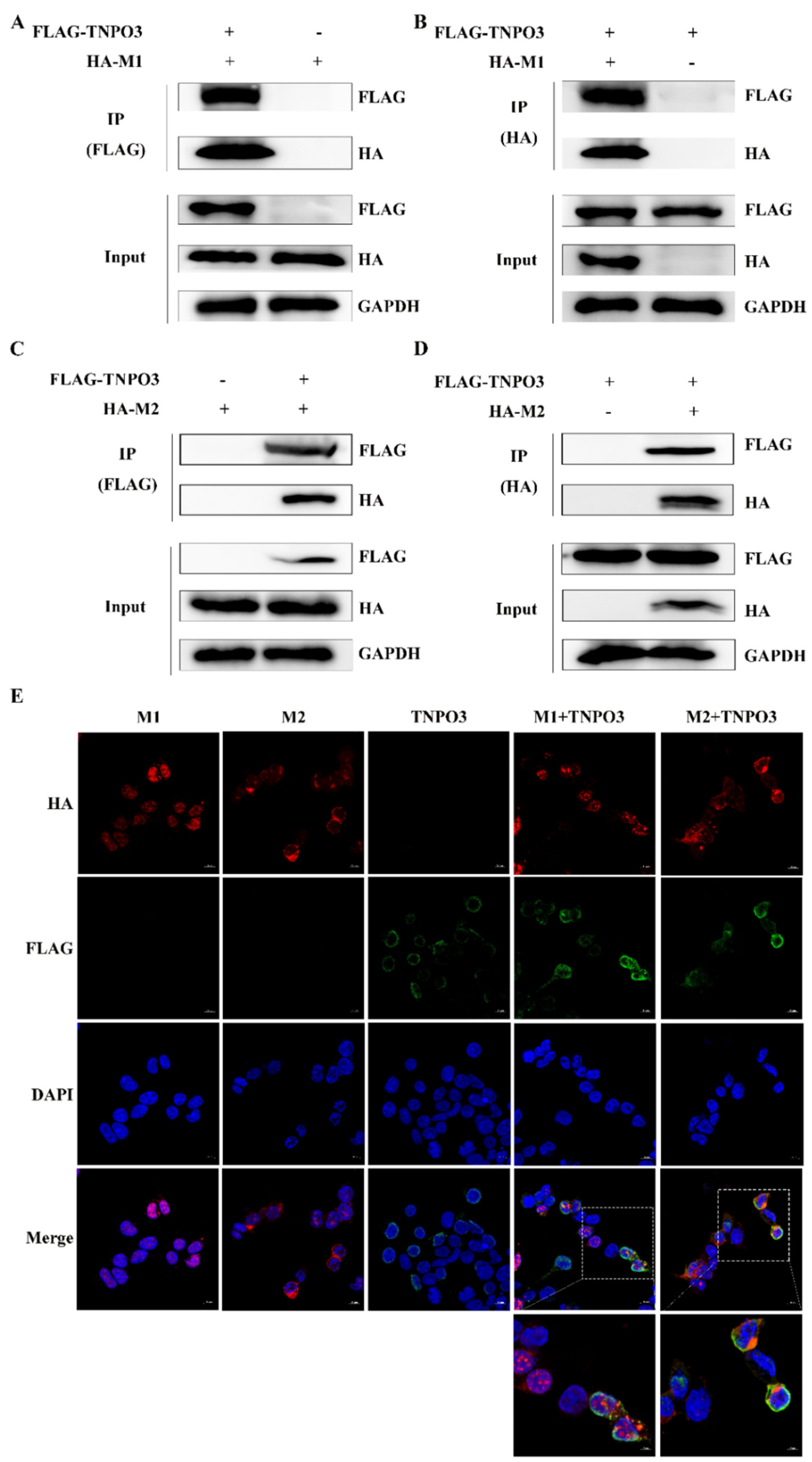Ijms 23 04128 g006 Ijms 23 04128 g006