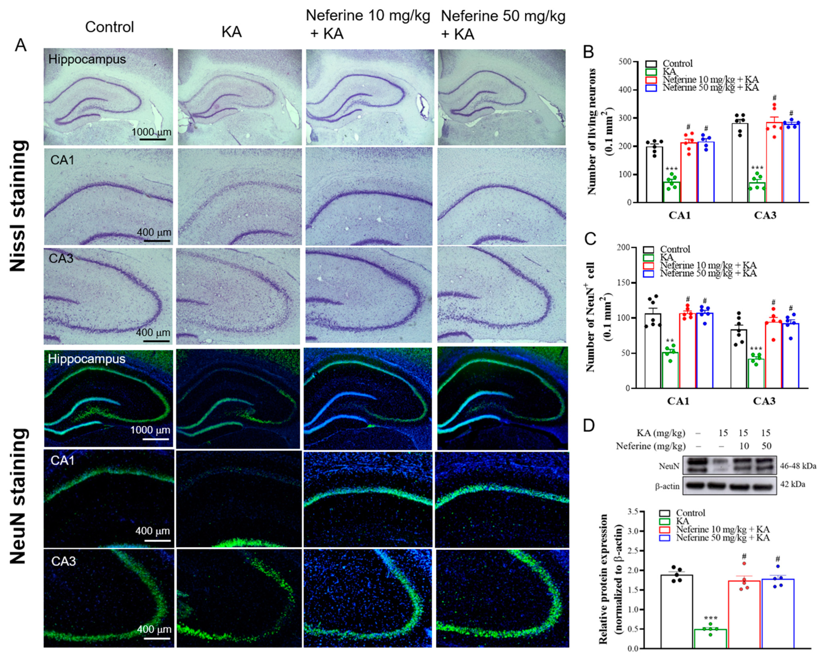 Ijms 23 04130 g002 550