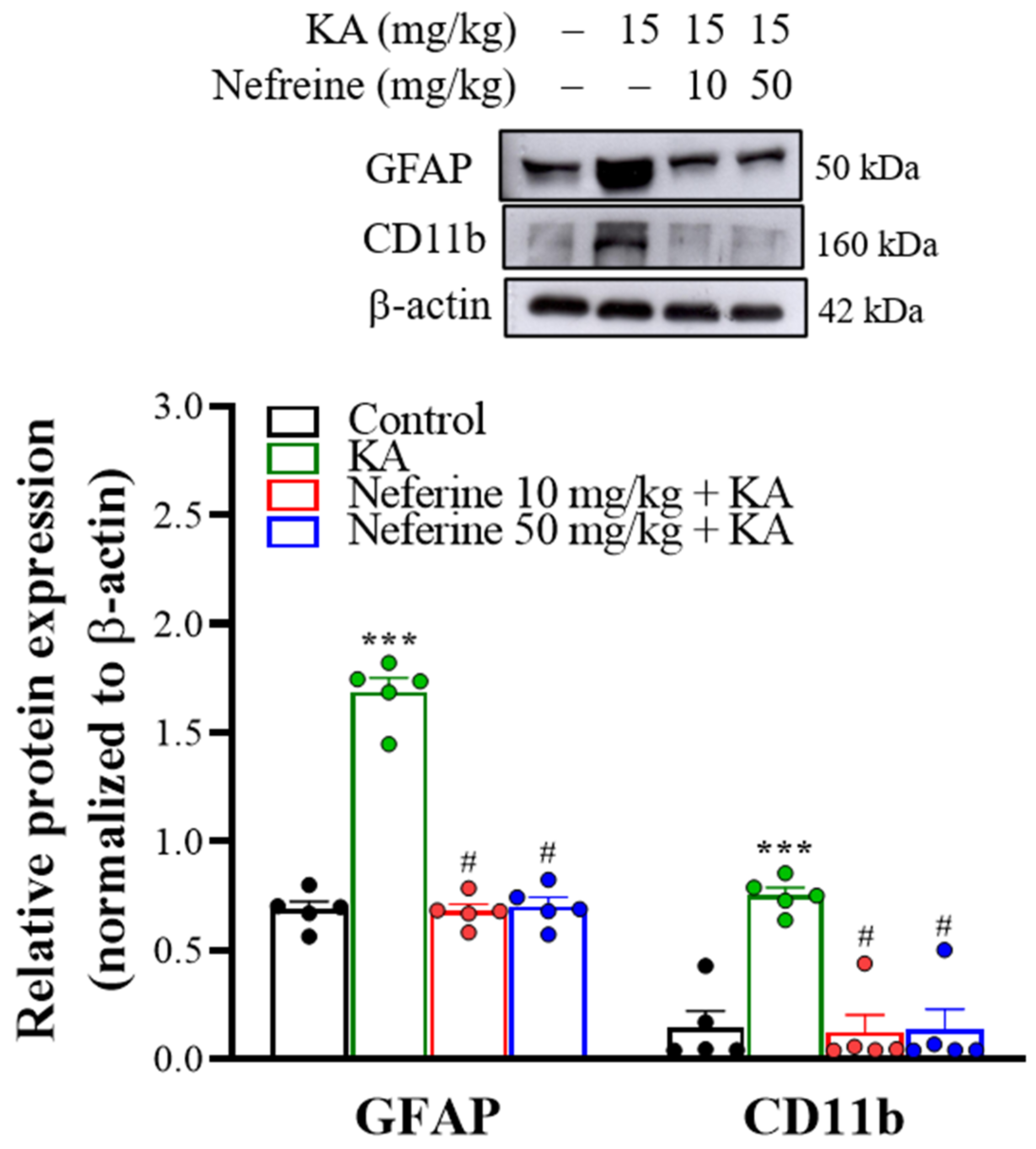 Ijms 23 04130 g004 550