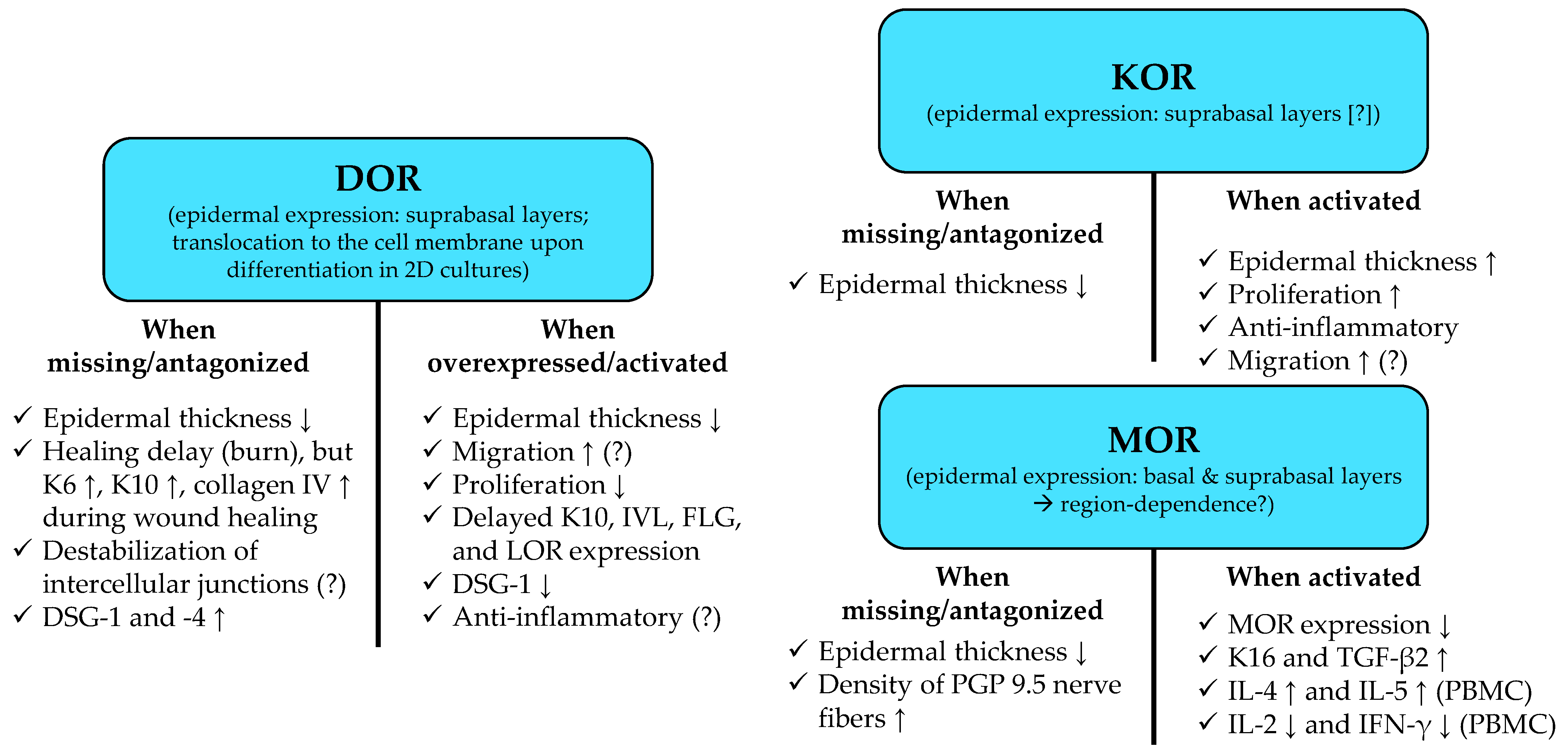 Ijms 23 04140 g003 Ijms 23 04140 g003