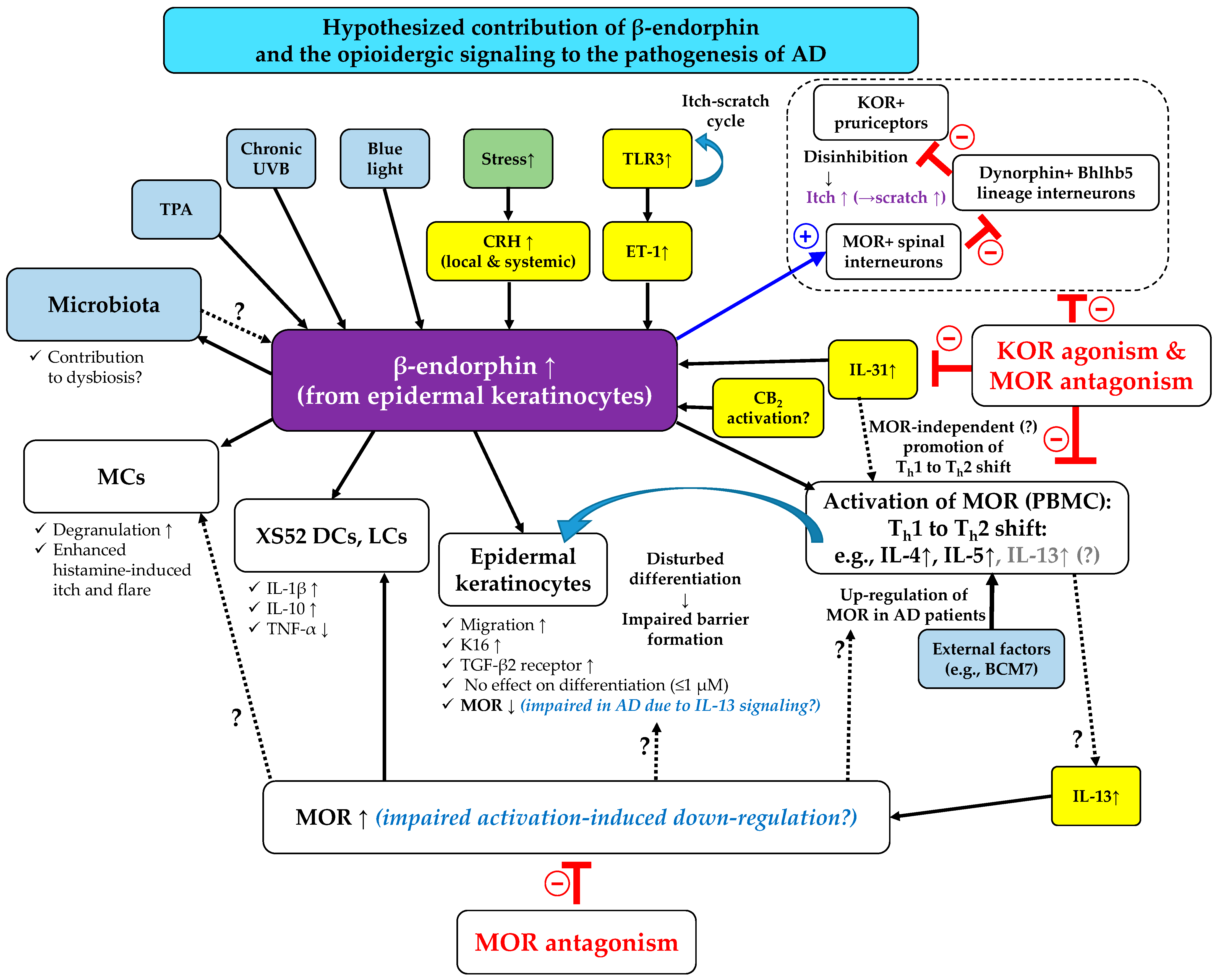 Ijms 23 04140 g005 Ijms 23 04140 g005