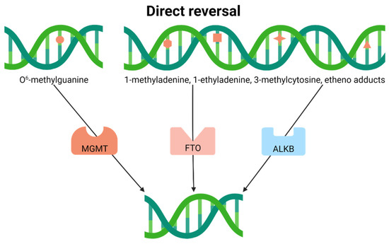 Genome Integrity and Neurological Disease