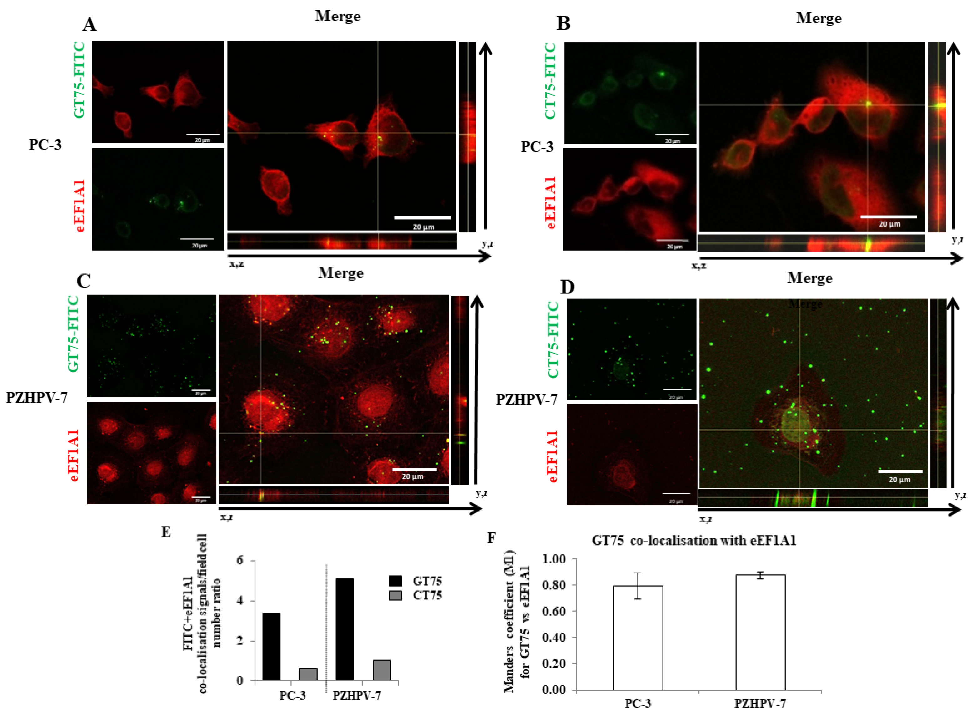 Ijms 23 04143 g002 550