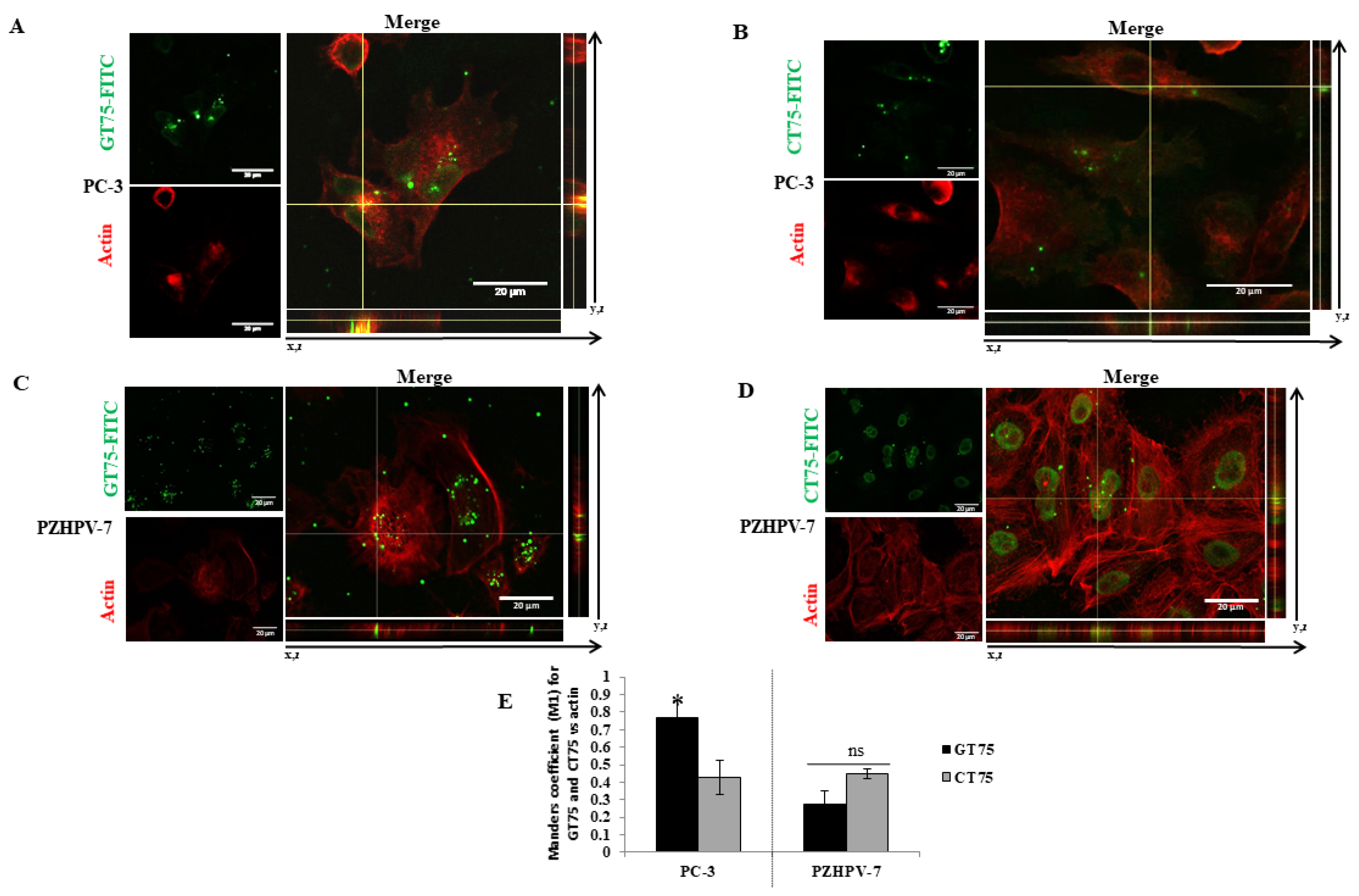 Ijms 23 04143 g005 550