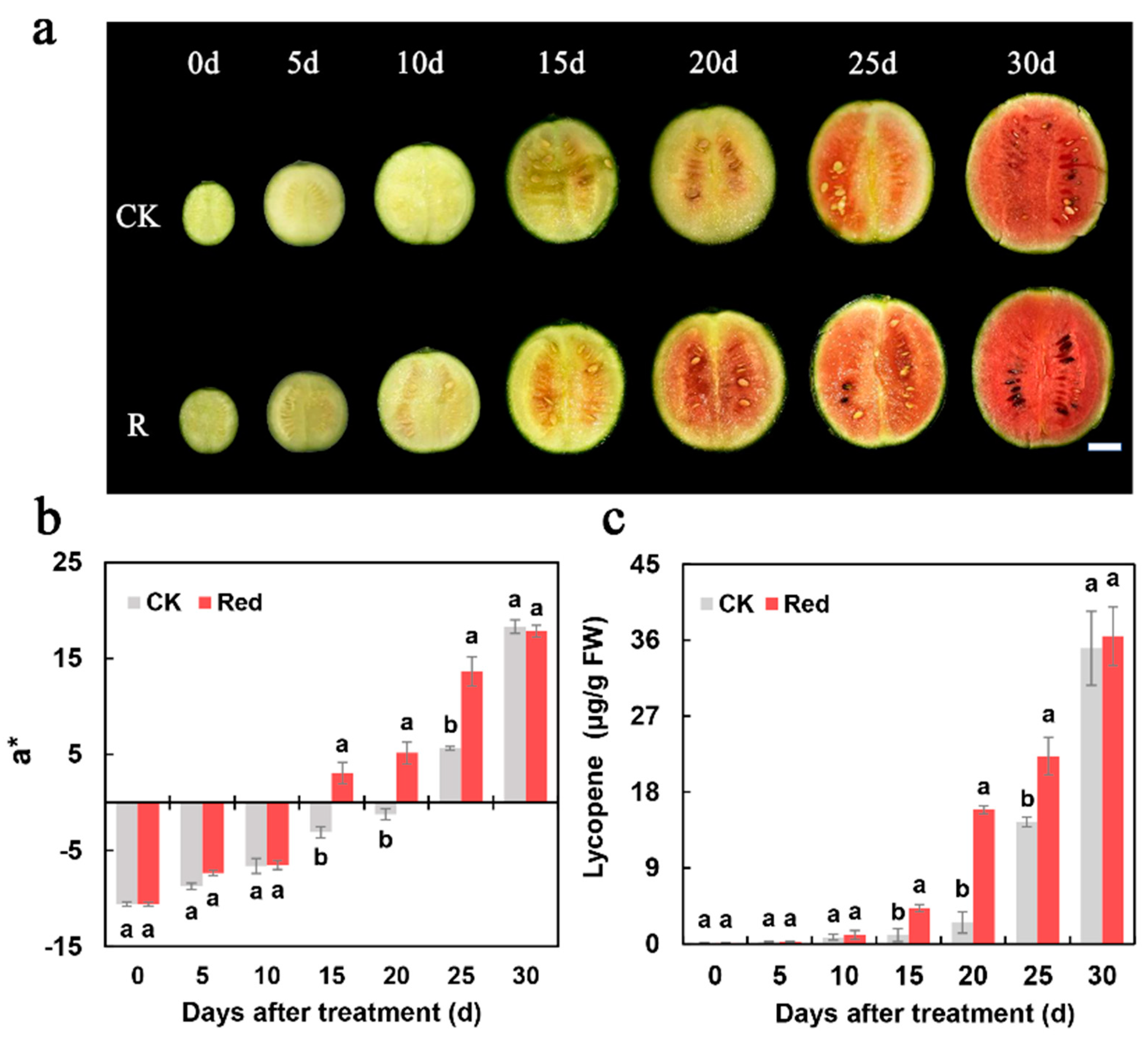 Ijms 23 04145 g001 Ijms 23 04145 g001