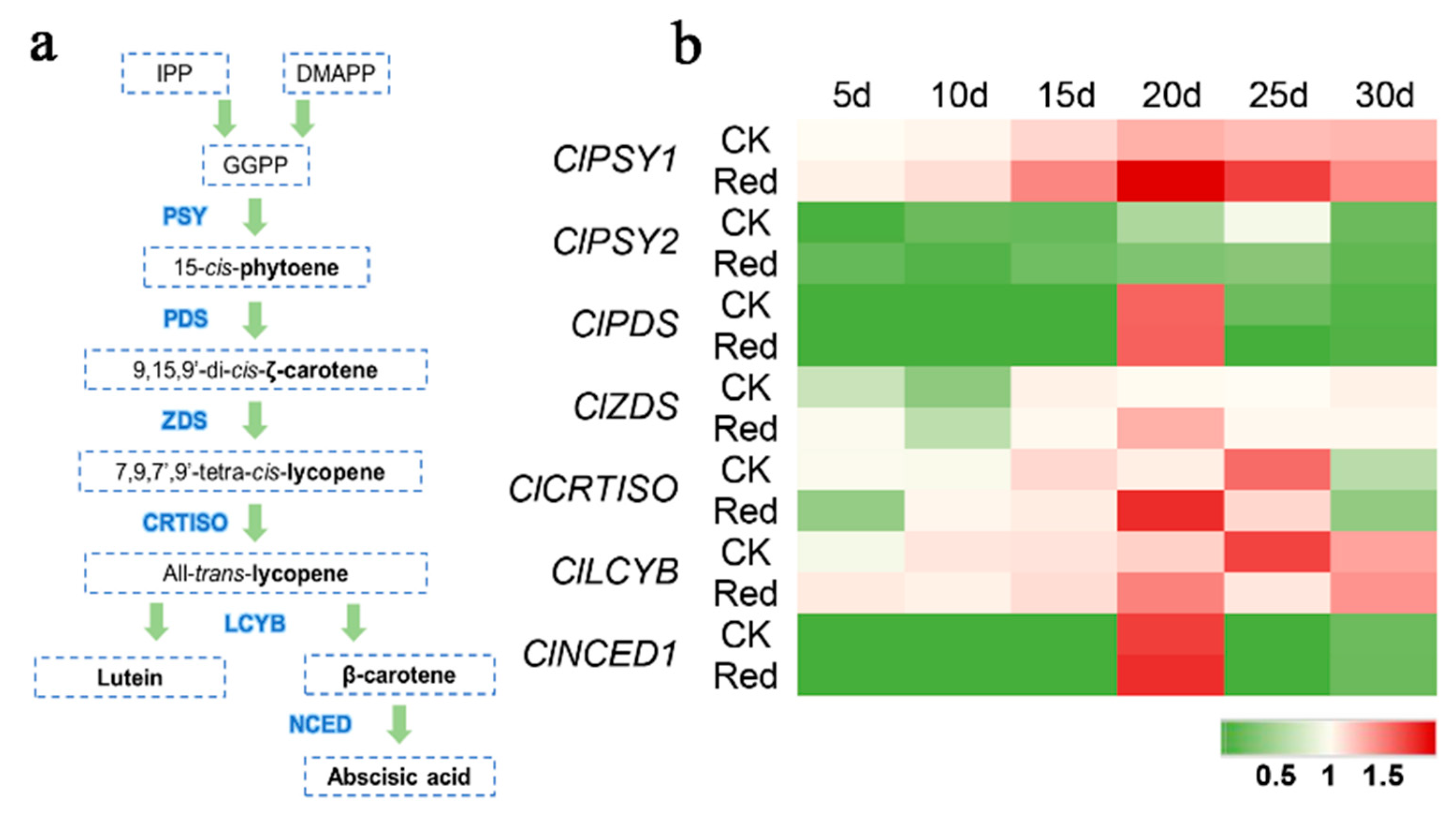 Ijms 23 04145 g002 Ijms 23 04145 g002