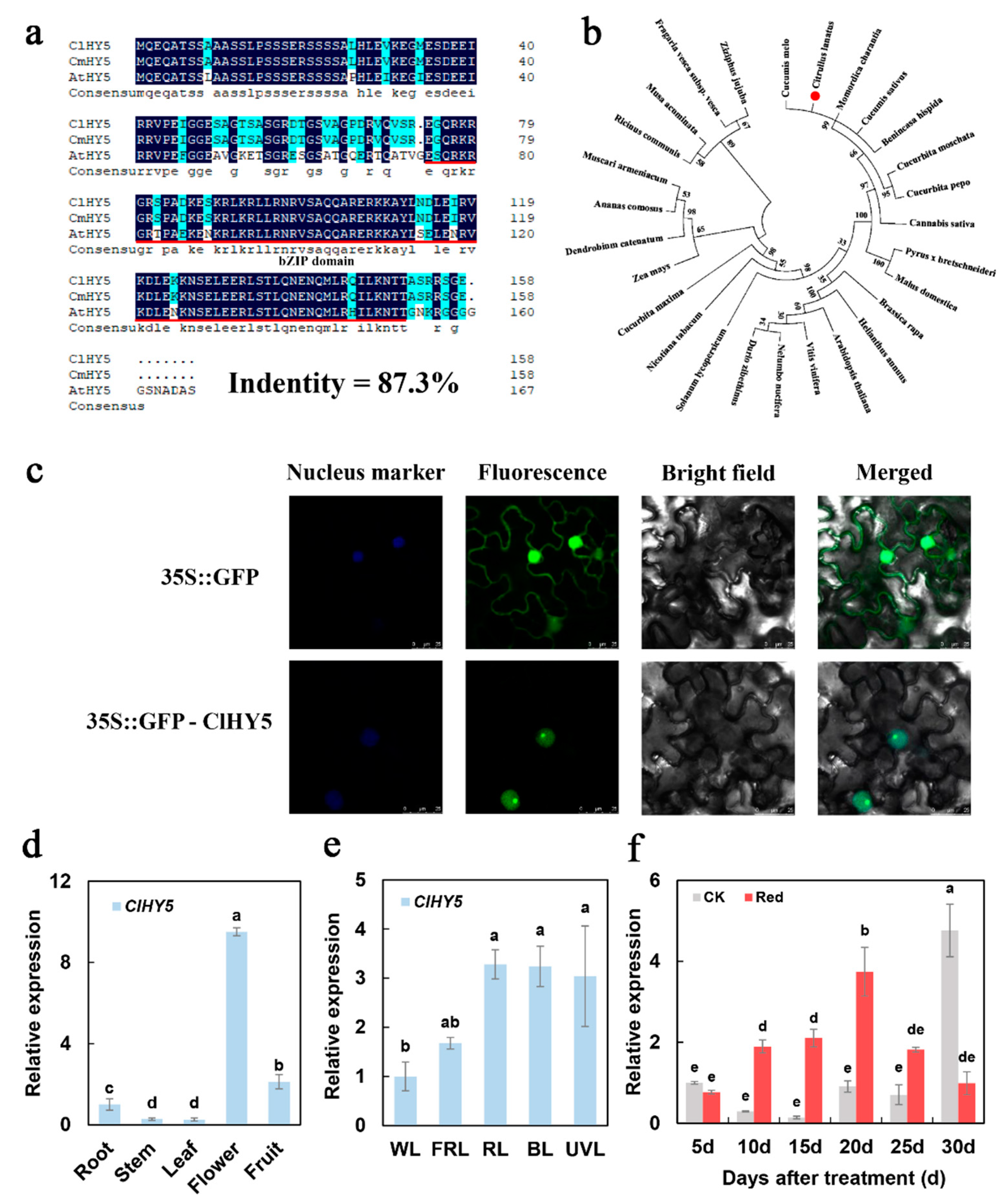 Ijms 23 04145 g003 Ijms 23 04145 g003