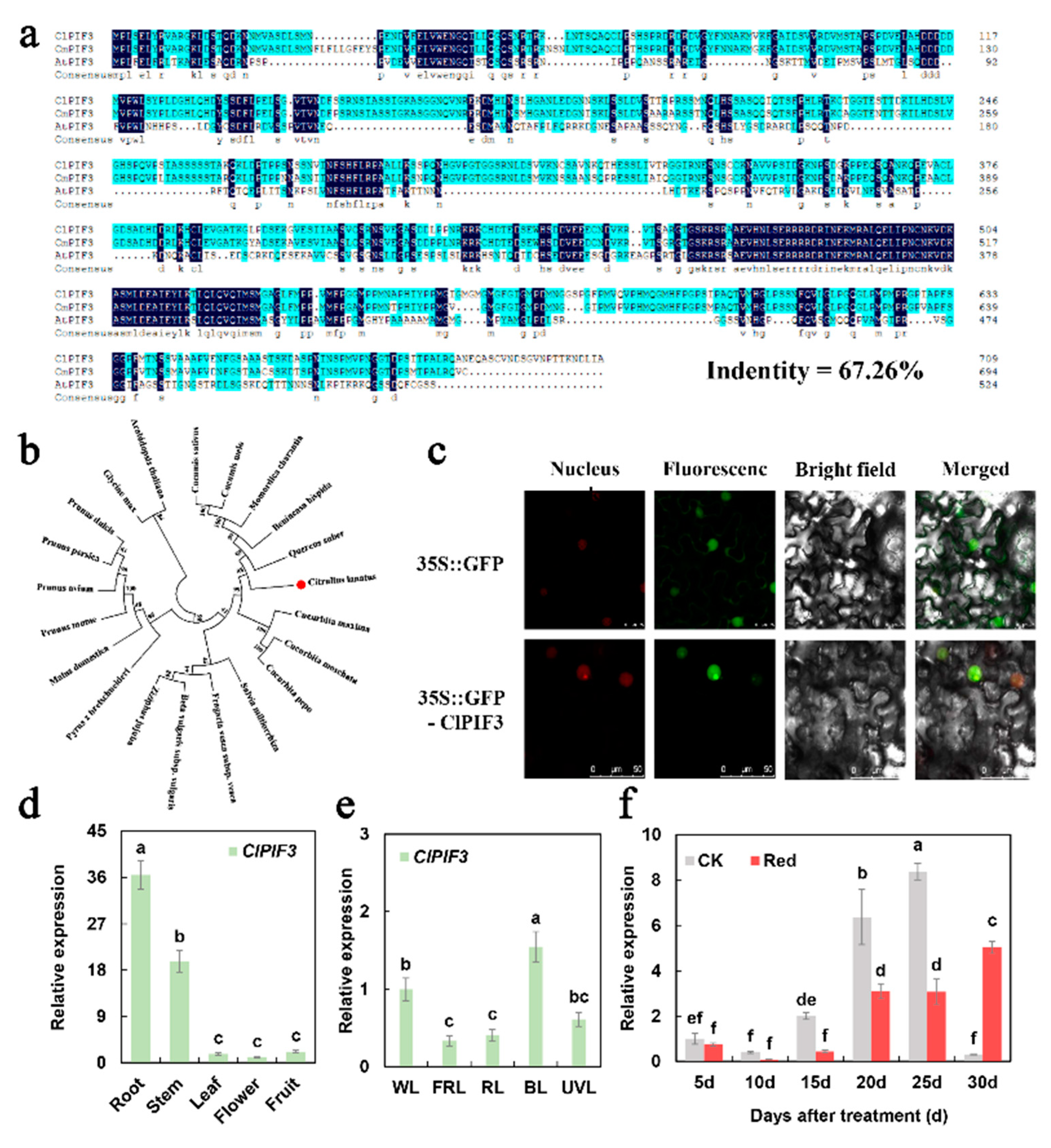 Ijms 23 04145 g004 Ijms 23 04145 g004