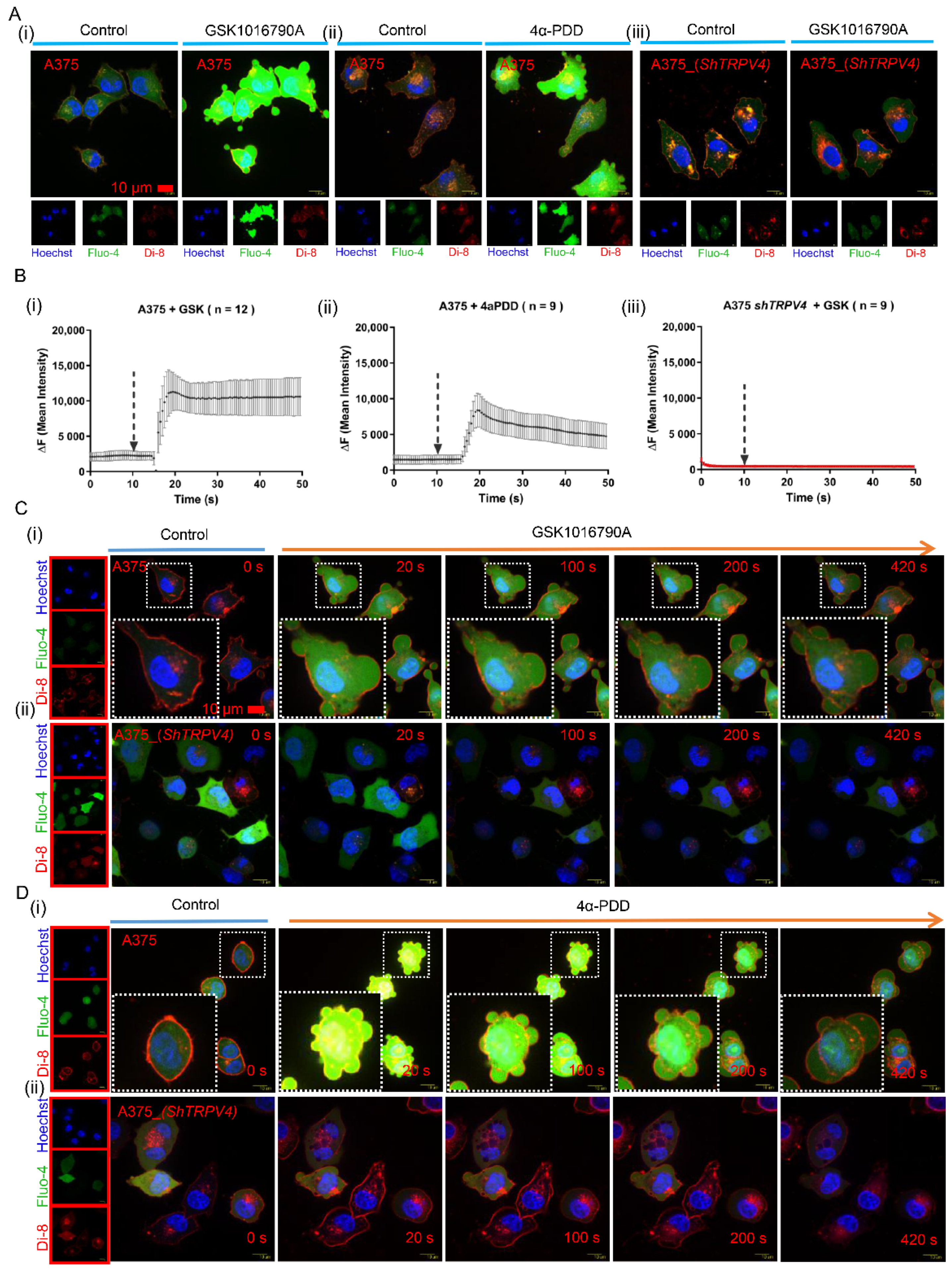 Ijms 23 04146 g001 550