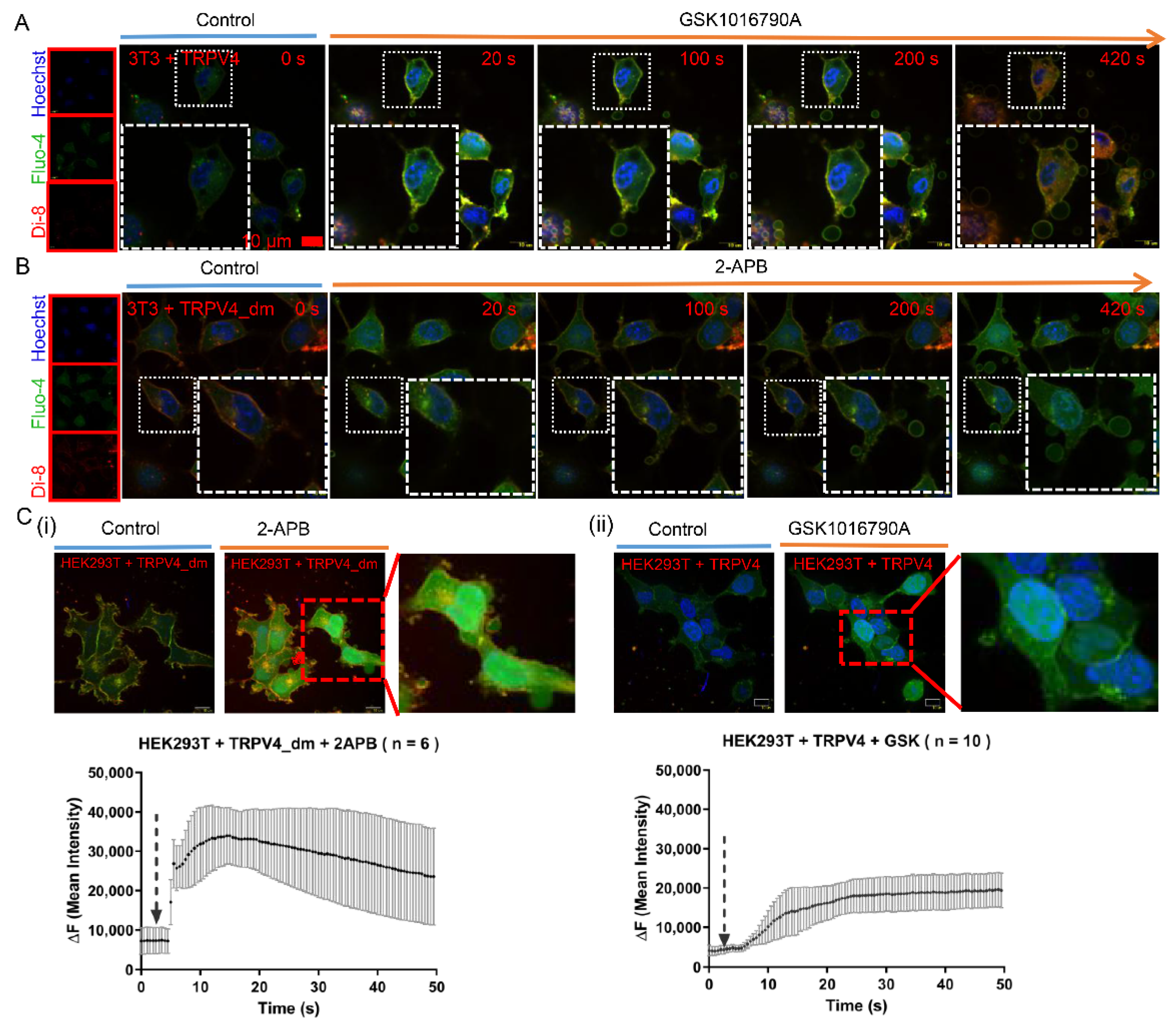 Ijms 23 04146 g002a 550
