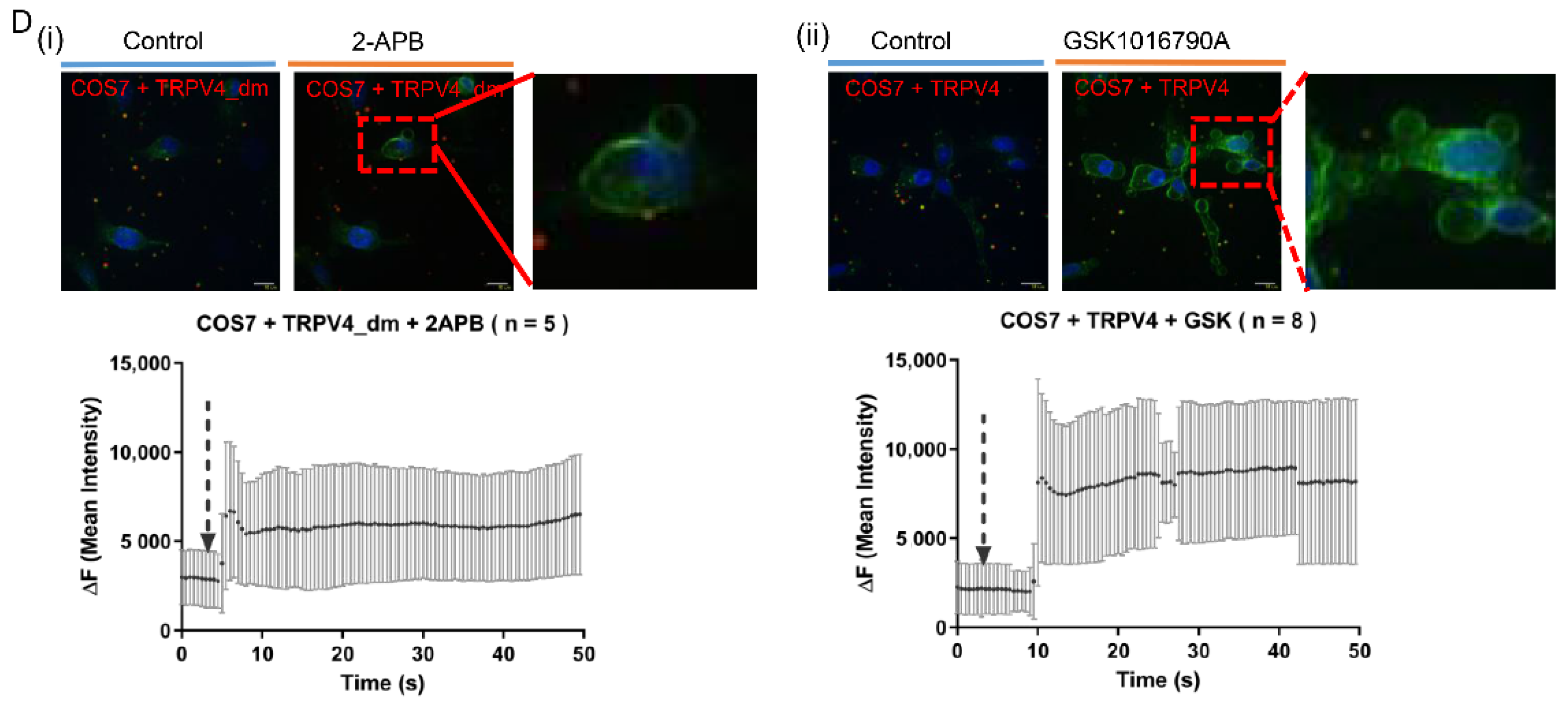 Ijms 23 04146 g002b 550