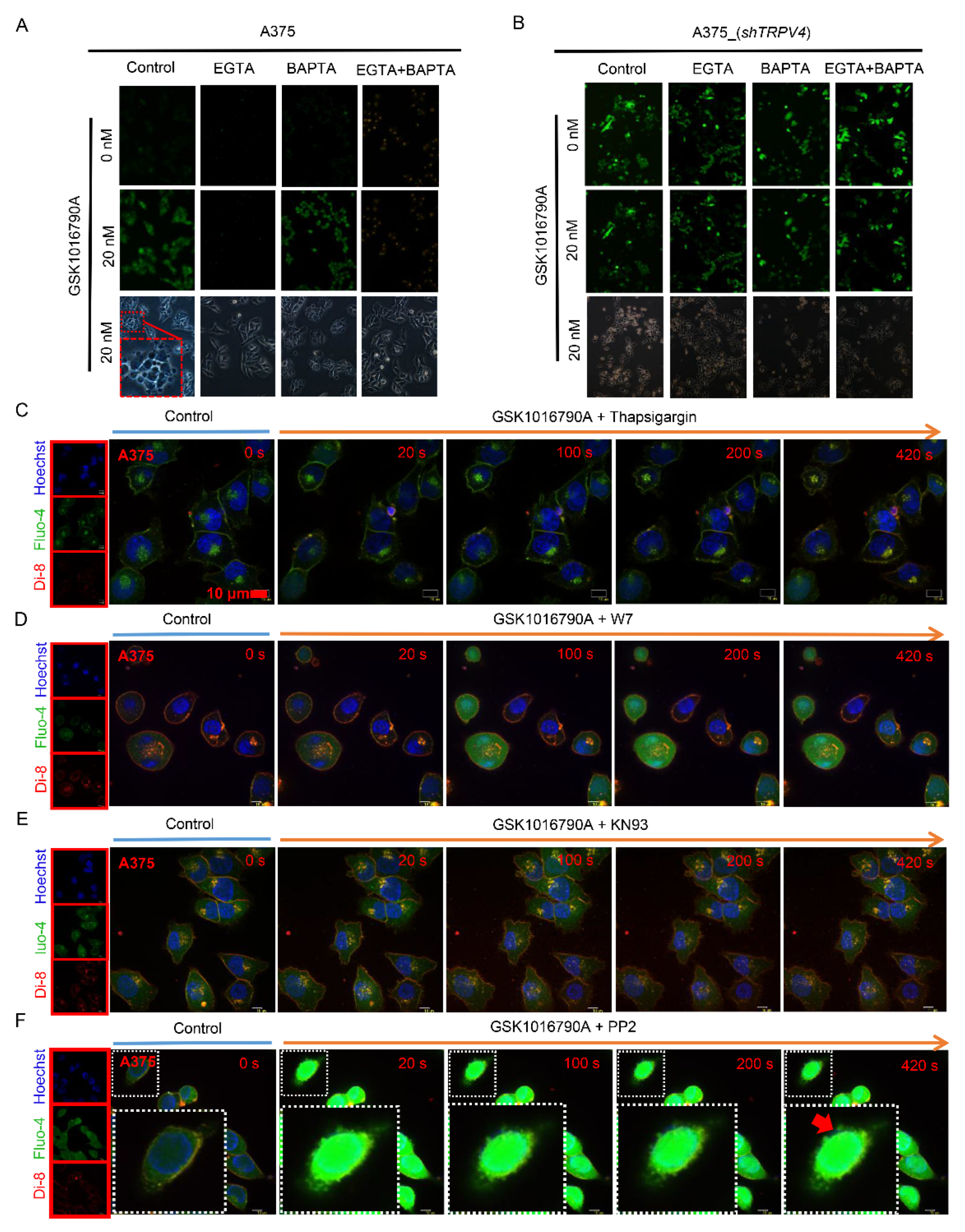 Ijms 23 04146 g003 550