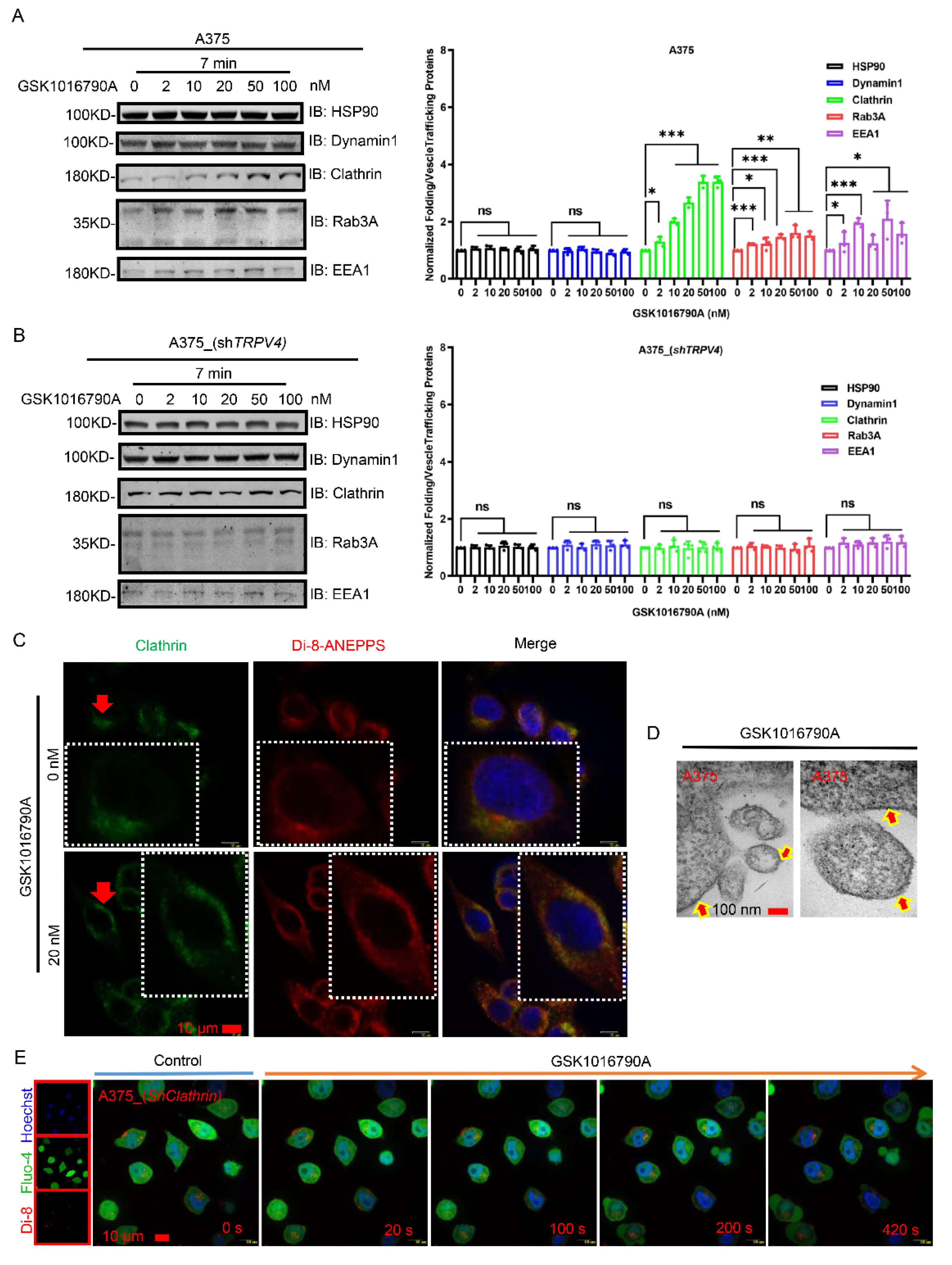 Ijms 23 04146 g005 550