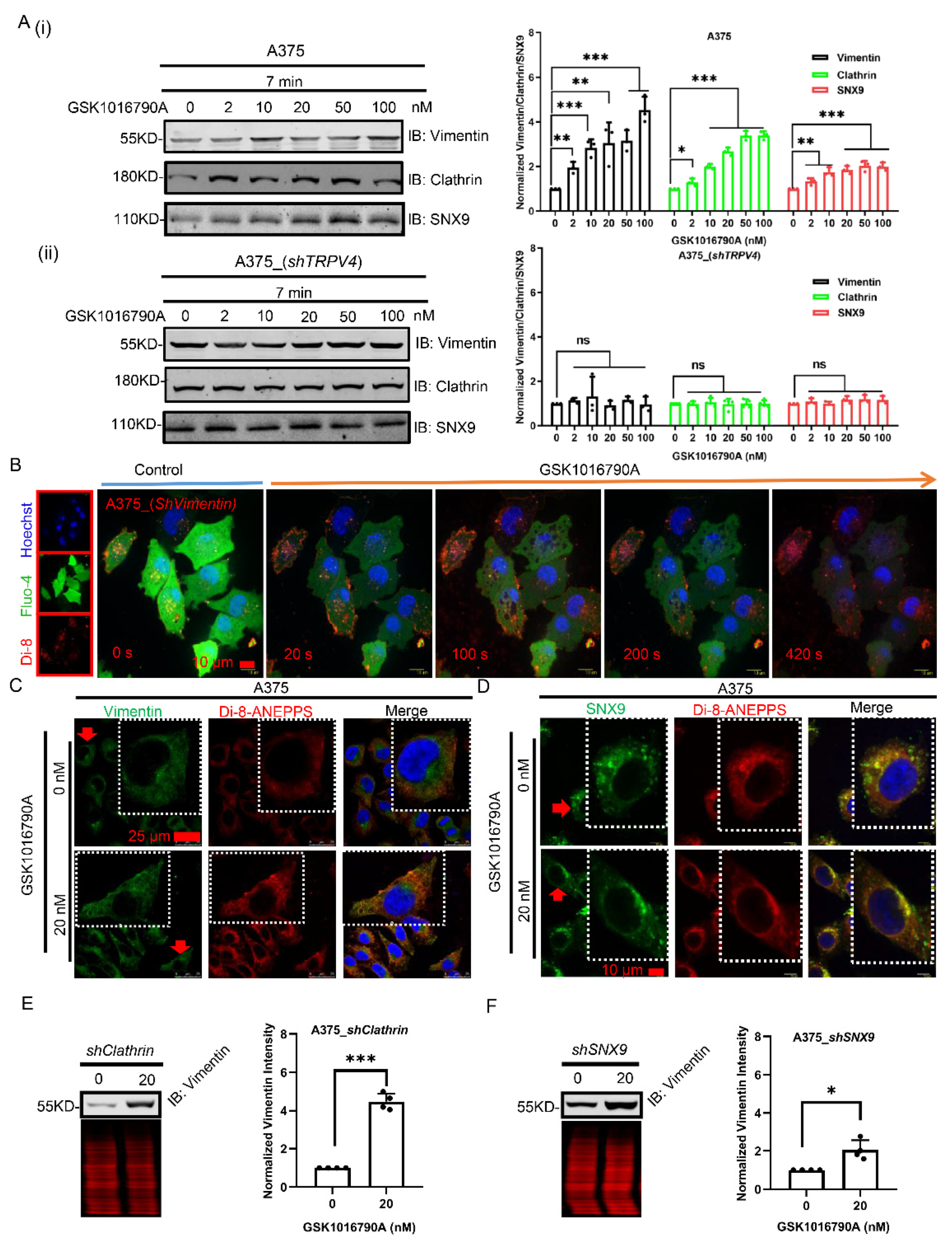 Ijms 23 04146 g006 550