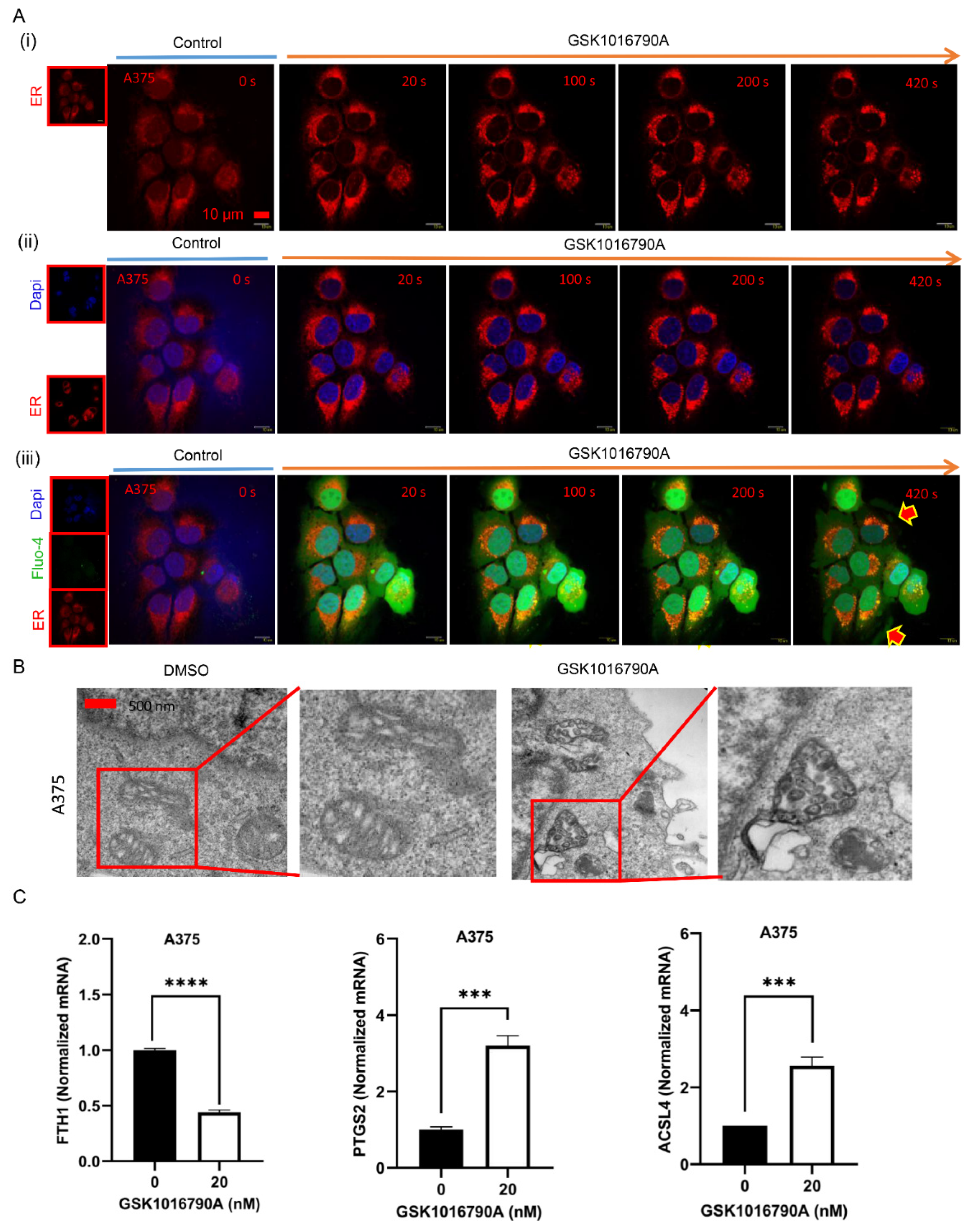 Ijms 23 04146 g007 550