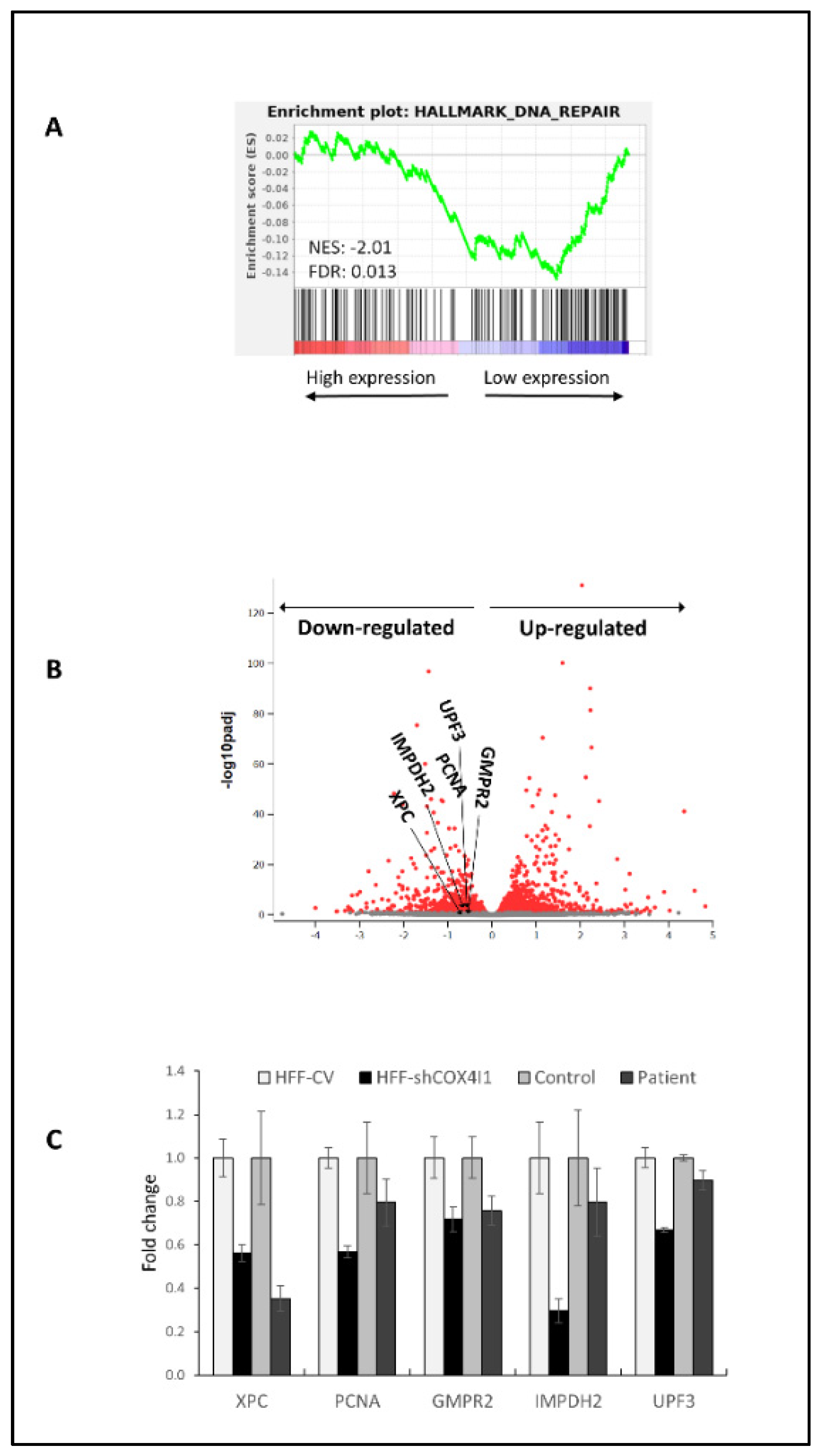 Ijms 23 04149 g002 550