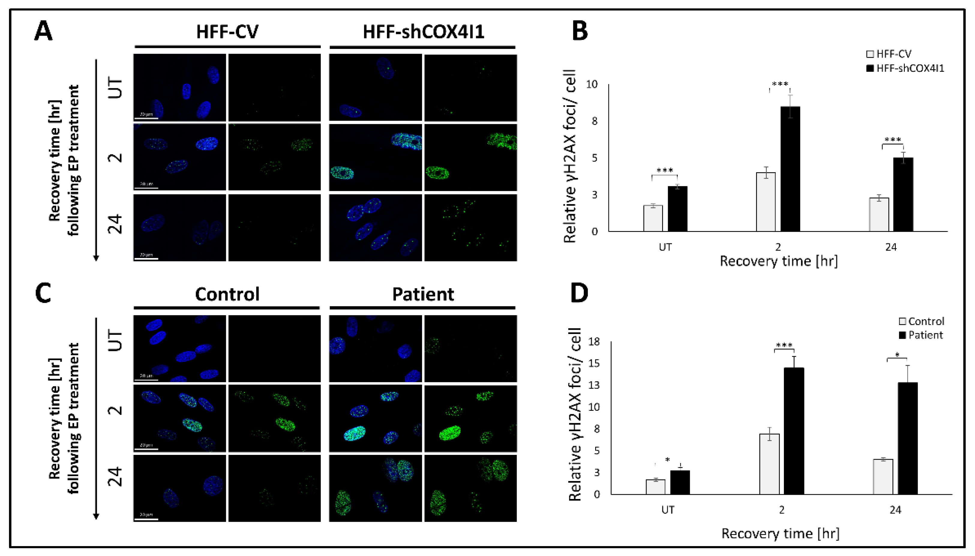 Ijms 23 04149 g003 550